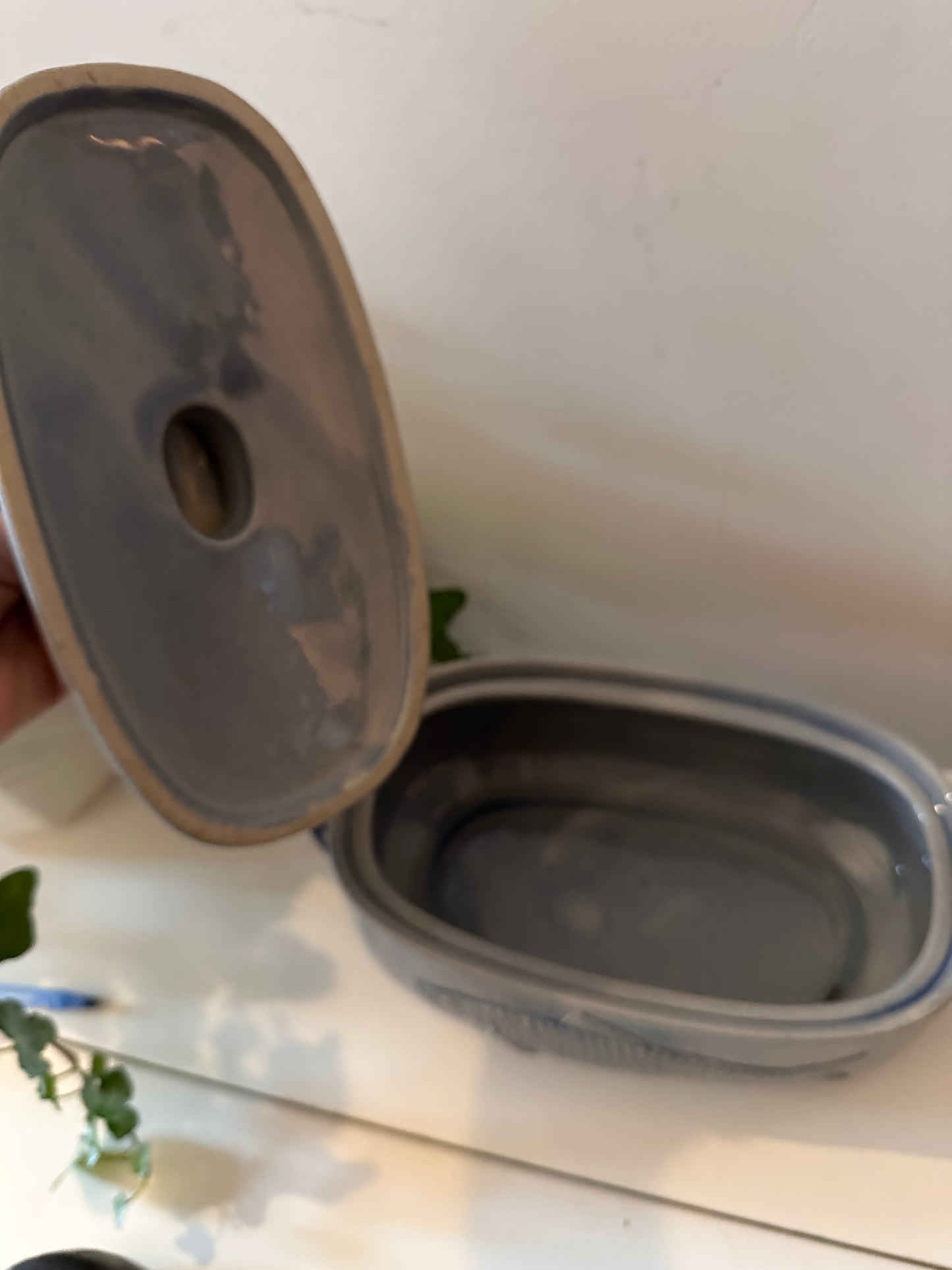 Blauw grijze keramieken visterrine