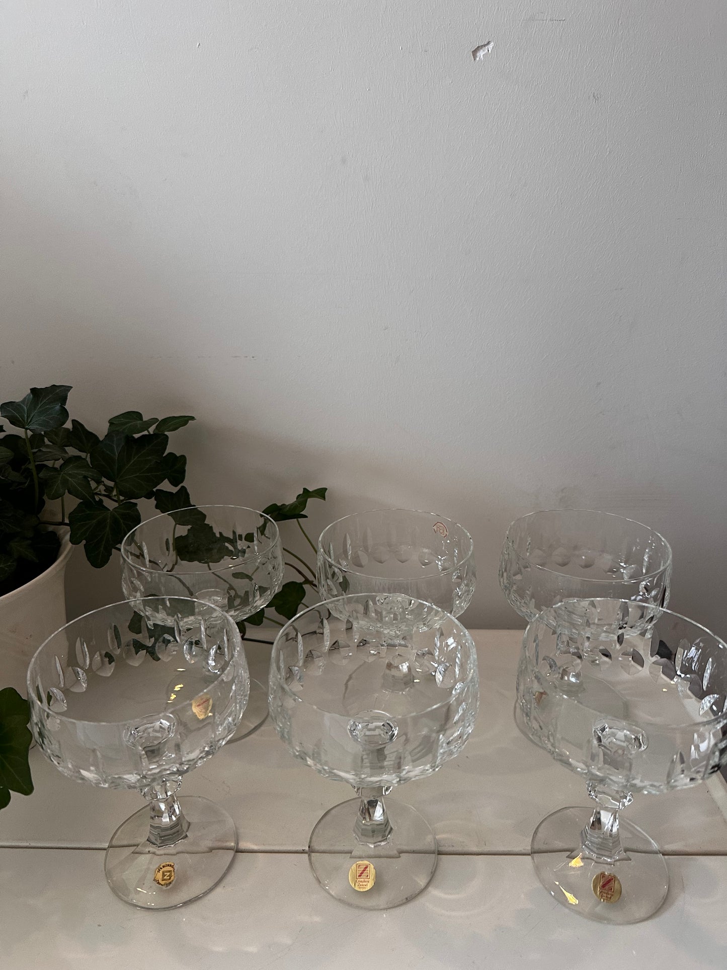 Zwiesel coupe champagne glazen