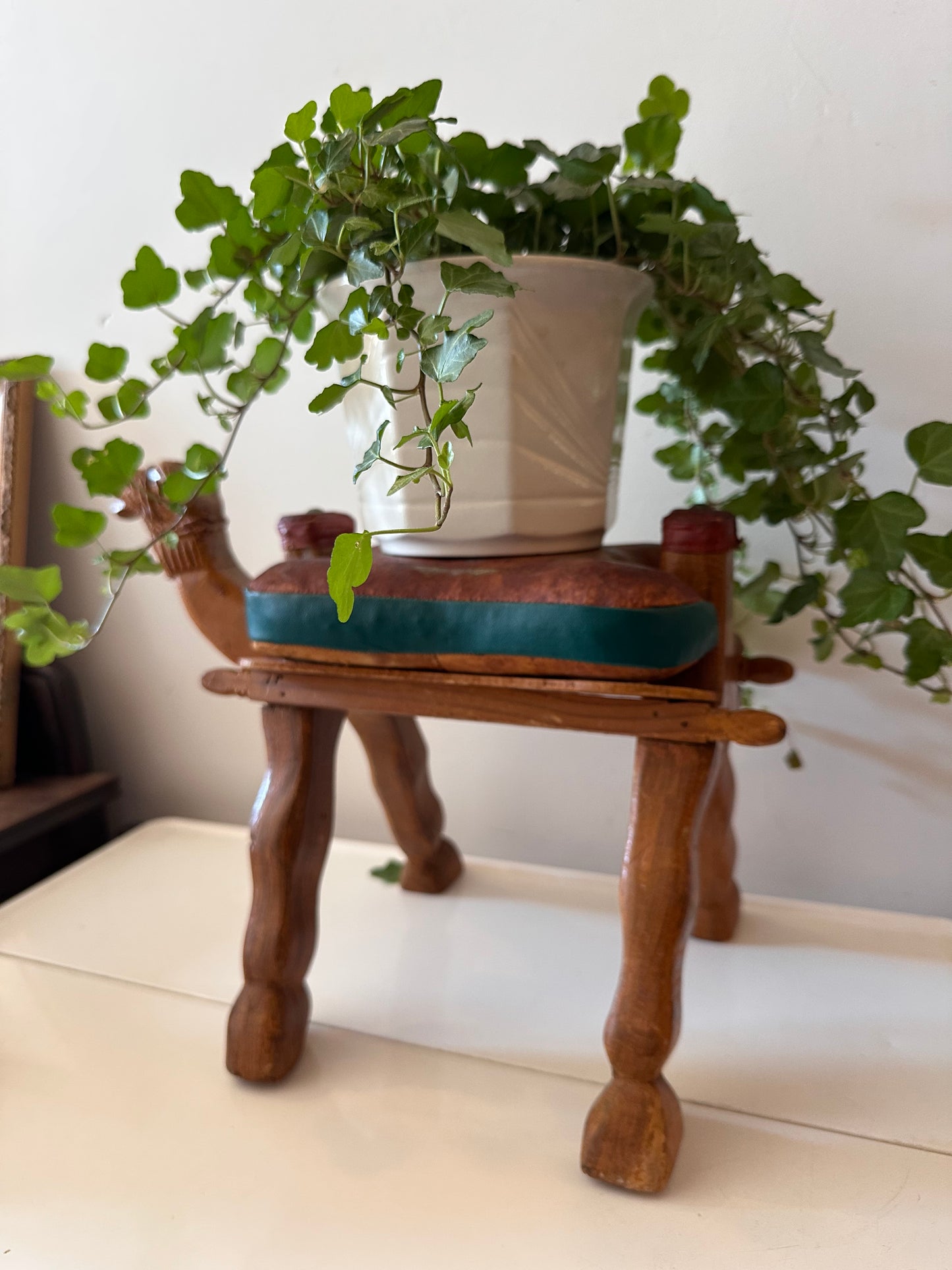 Kamelenkrukje plantentafeltje