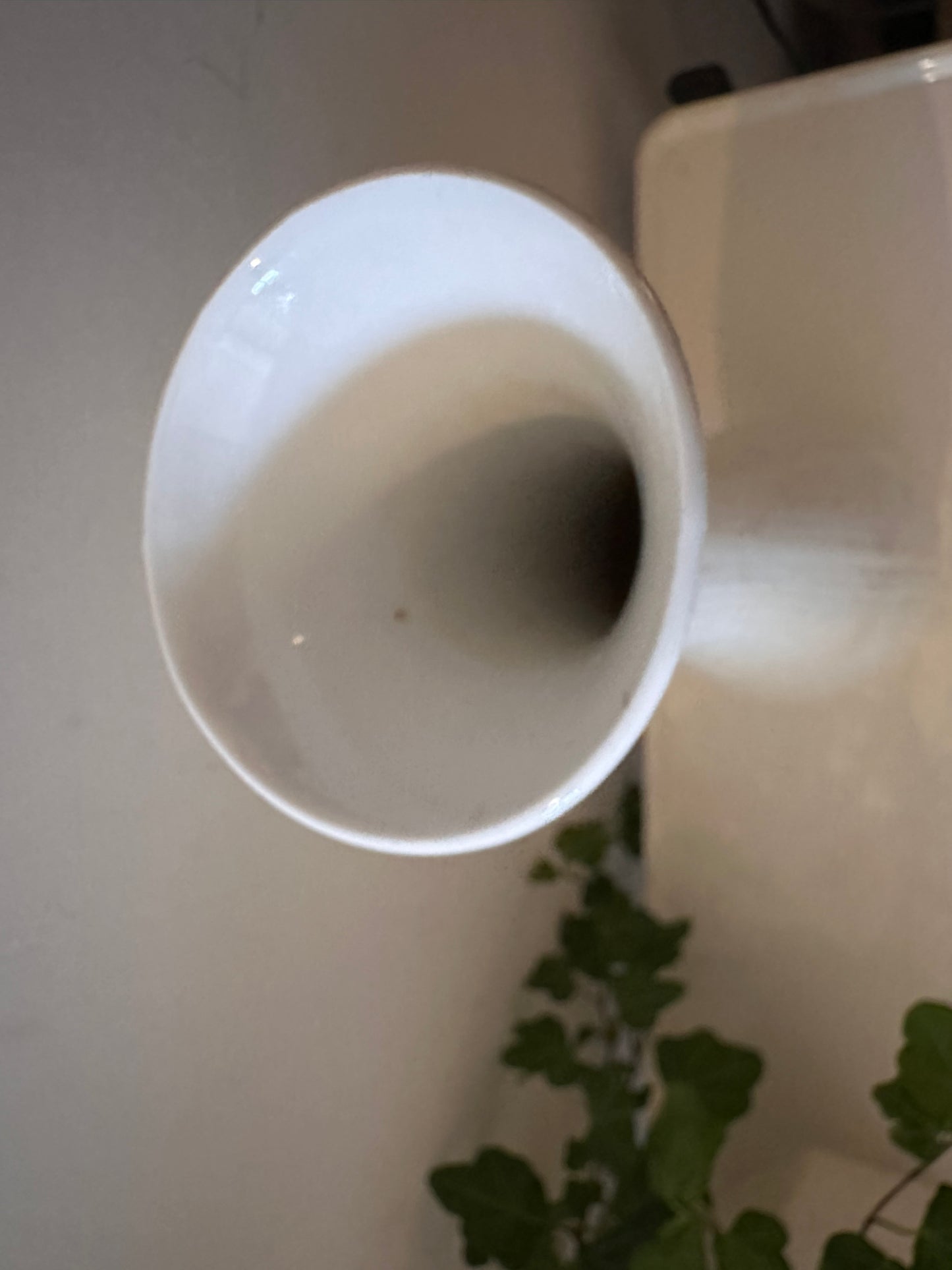 Royal Bavaria porseleinen vaas wit