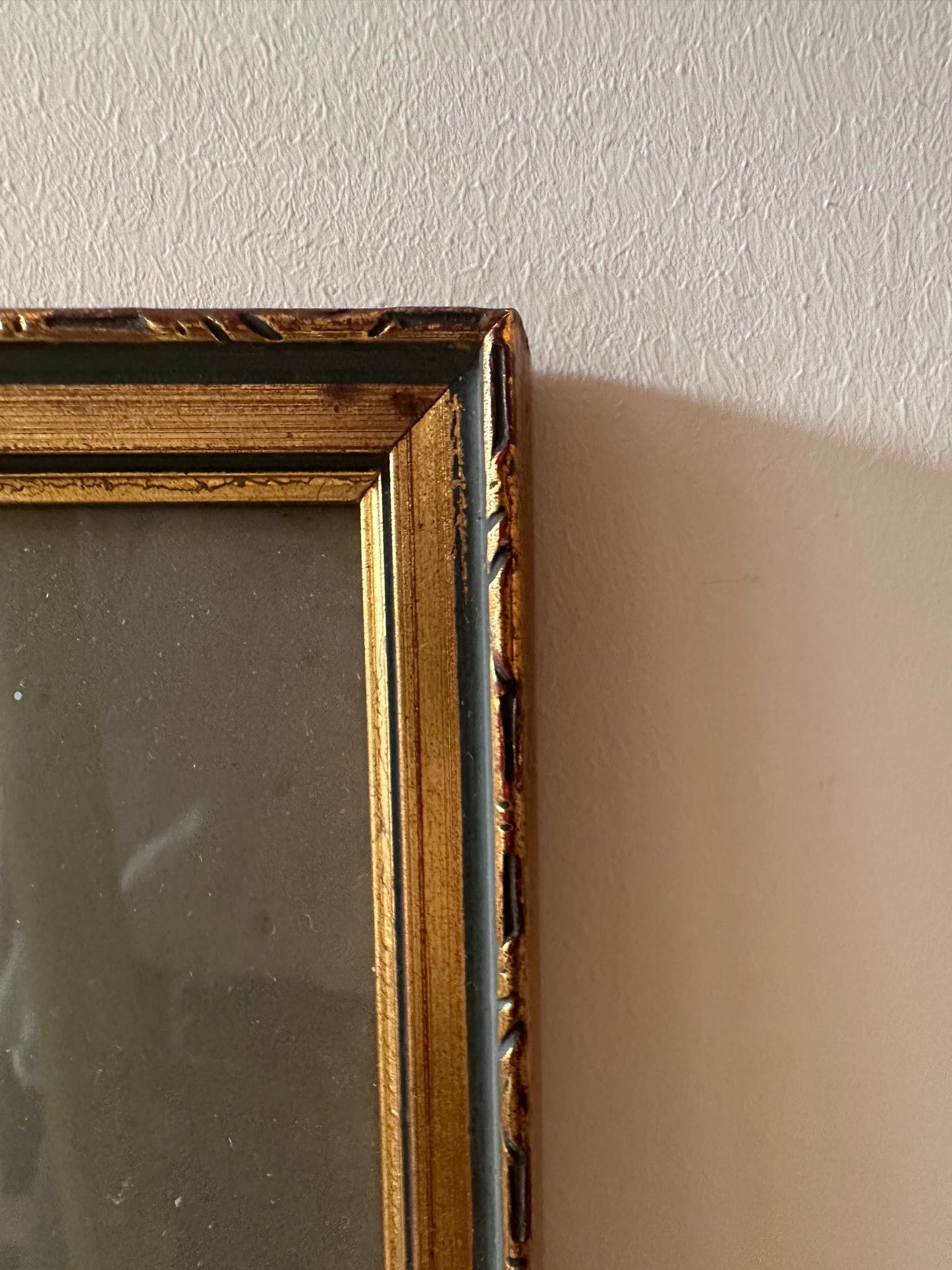 Vintage lijst met vogel prent