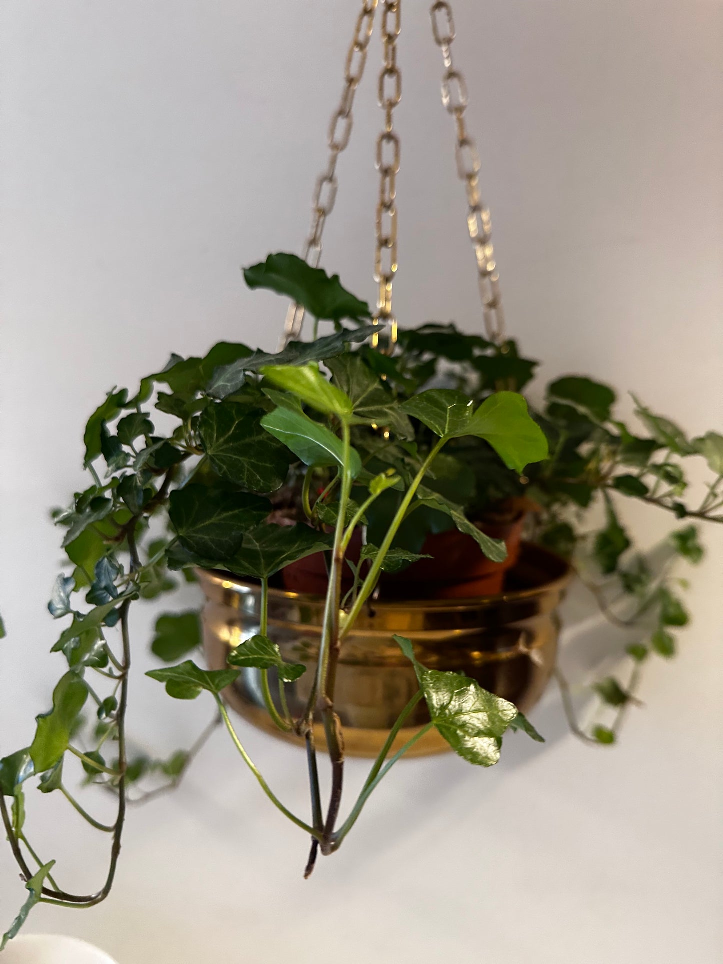 Vintage koperen plantenhanger