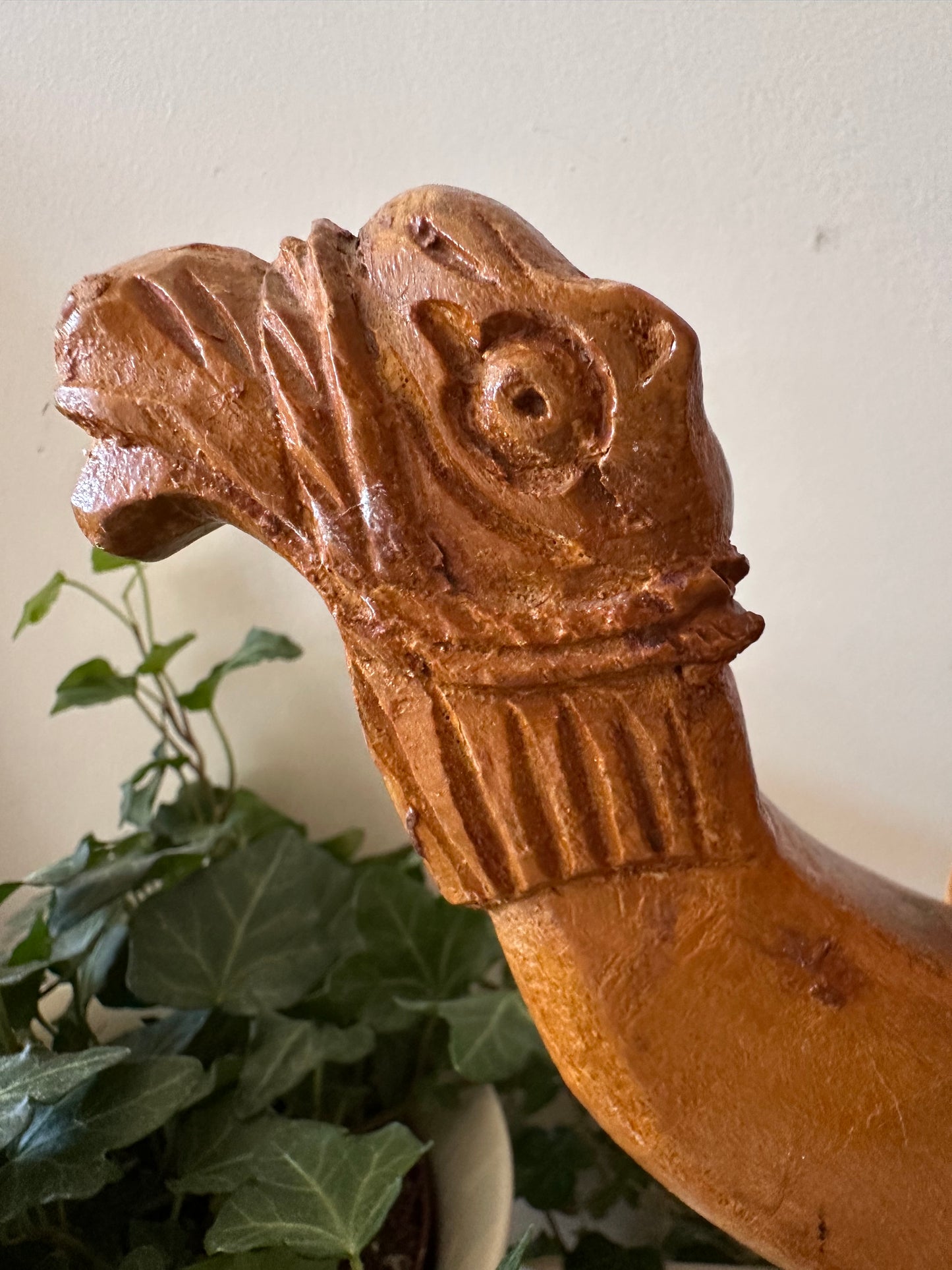 Kamelenkrukje plantentafeltje