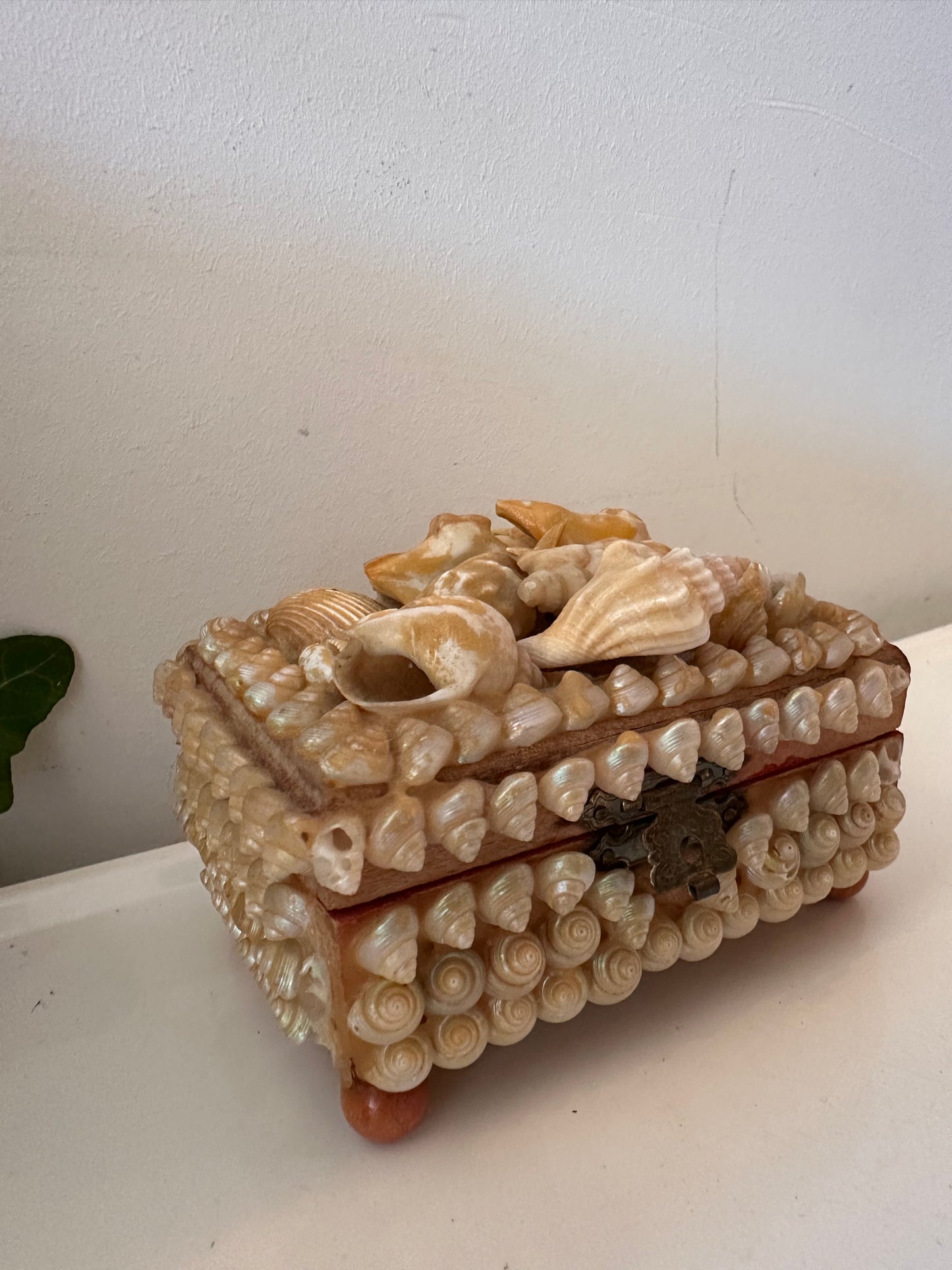 Vintage schelpendoosje