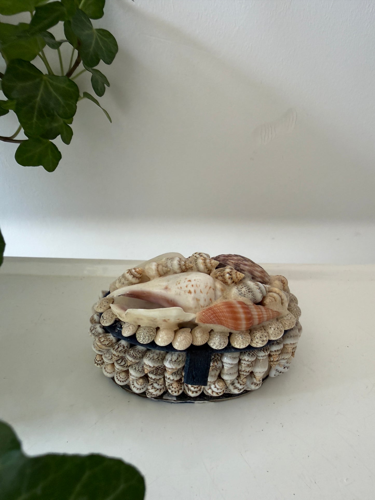 Schelpen bewaardoosje ovaal