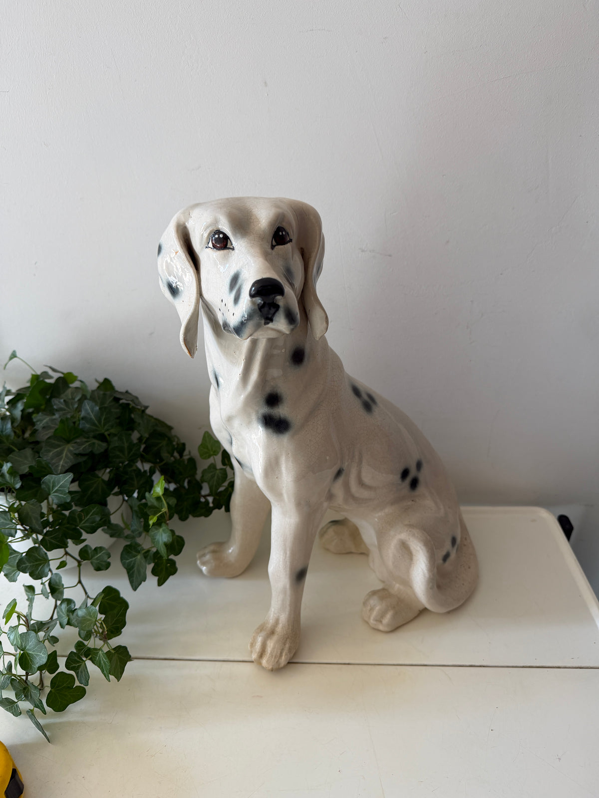 Italiaans beeld dalmatiër