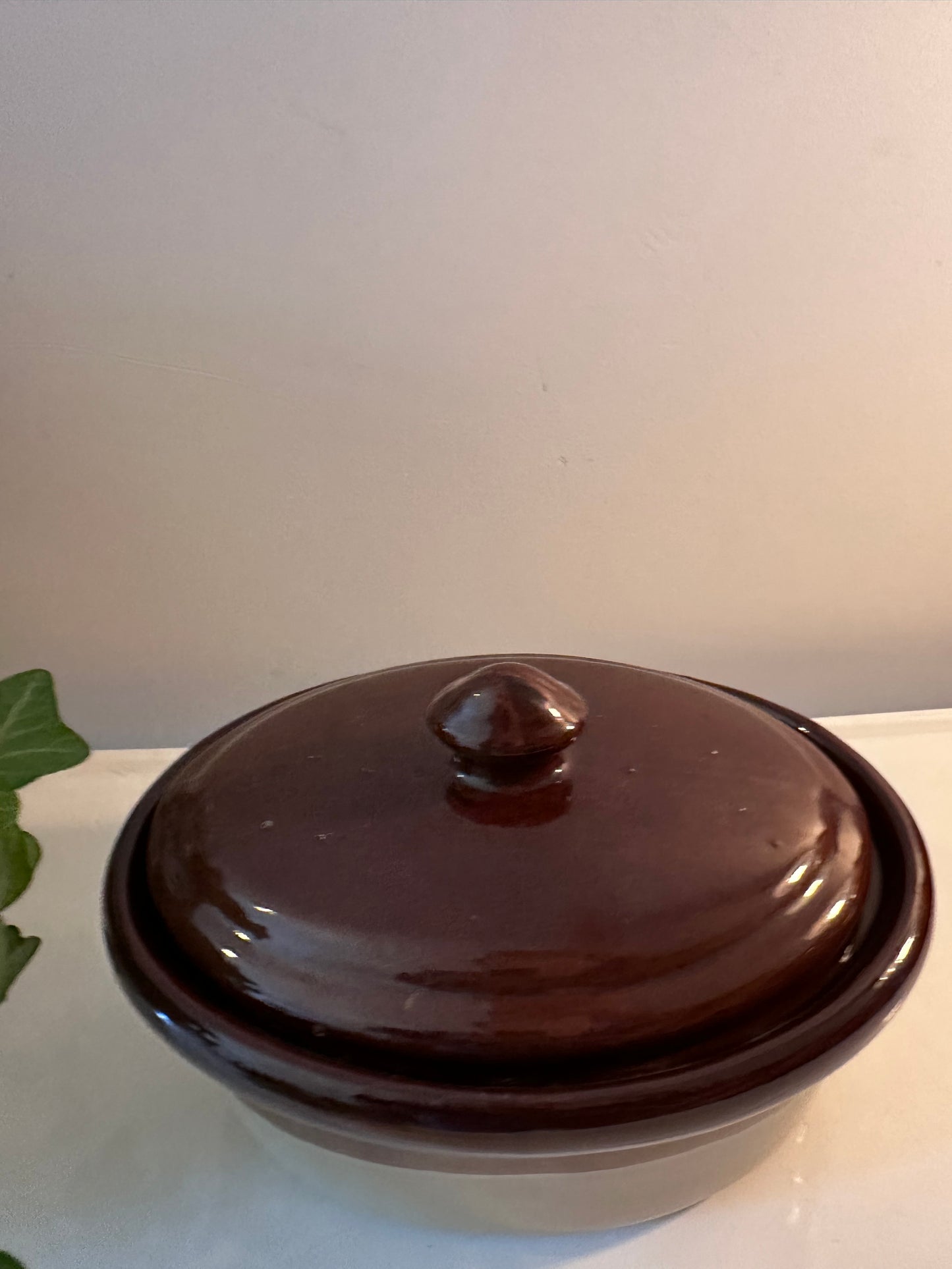 Jaren 70 Ovenschaal Heideland