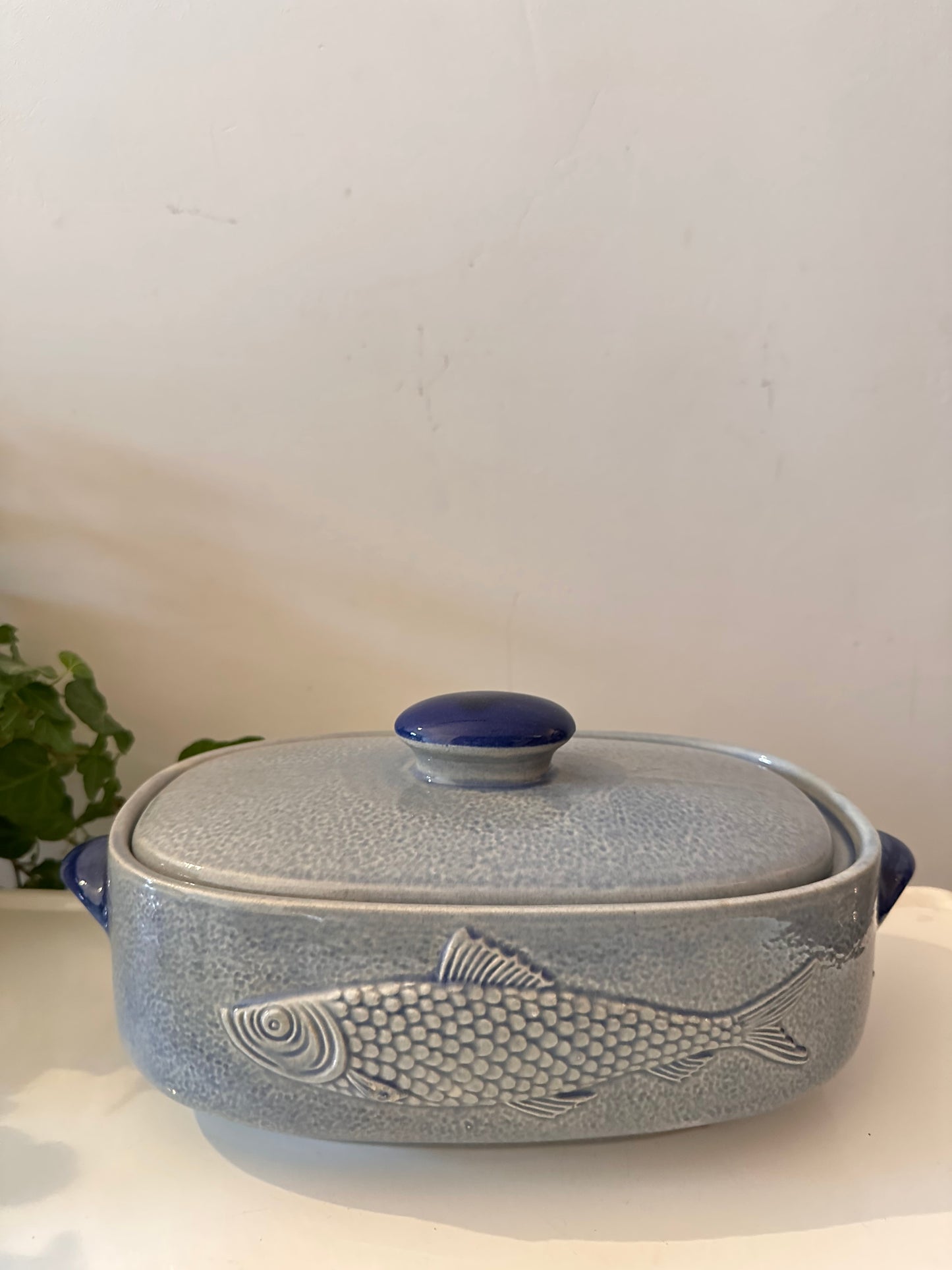 Blauw grijze keramieken visterrine