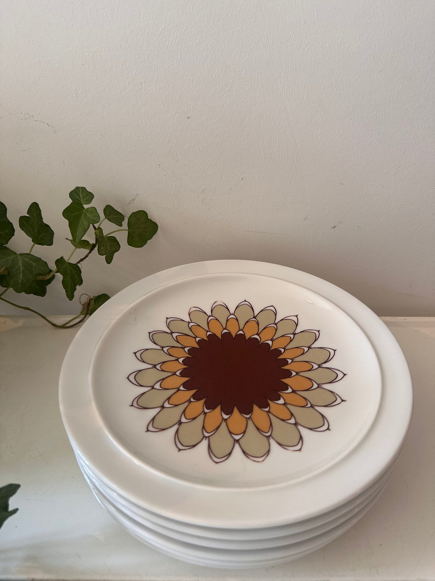 Set van 6 porseleinen retro gebaksbordjes