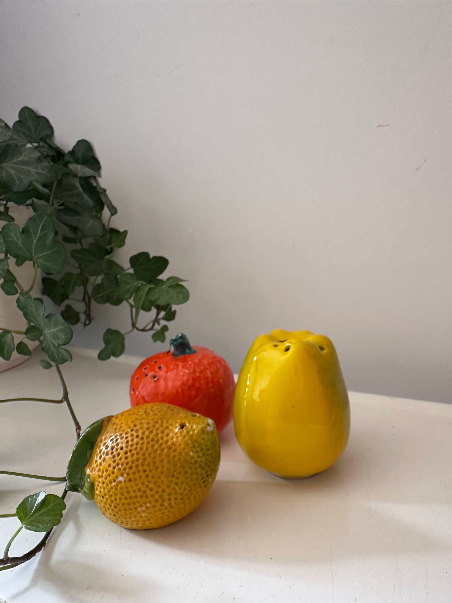 Fruit peper en zout potjes