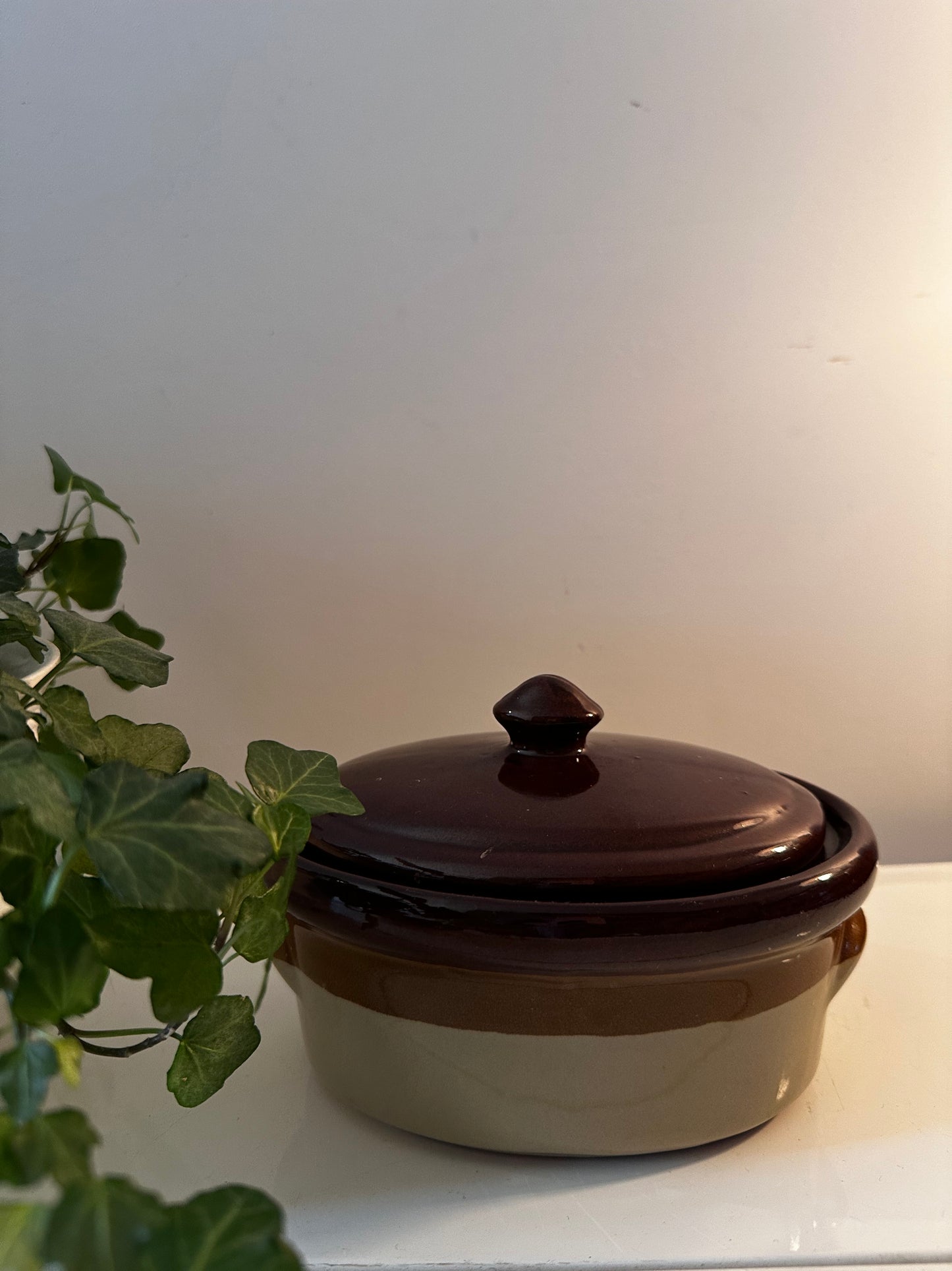 Jaren 70 Ovenschaal Heideland