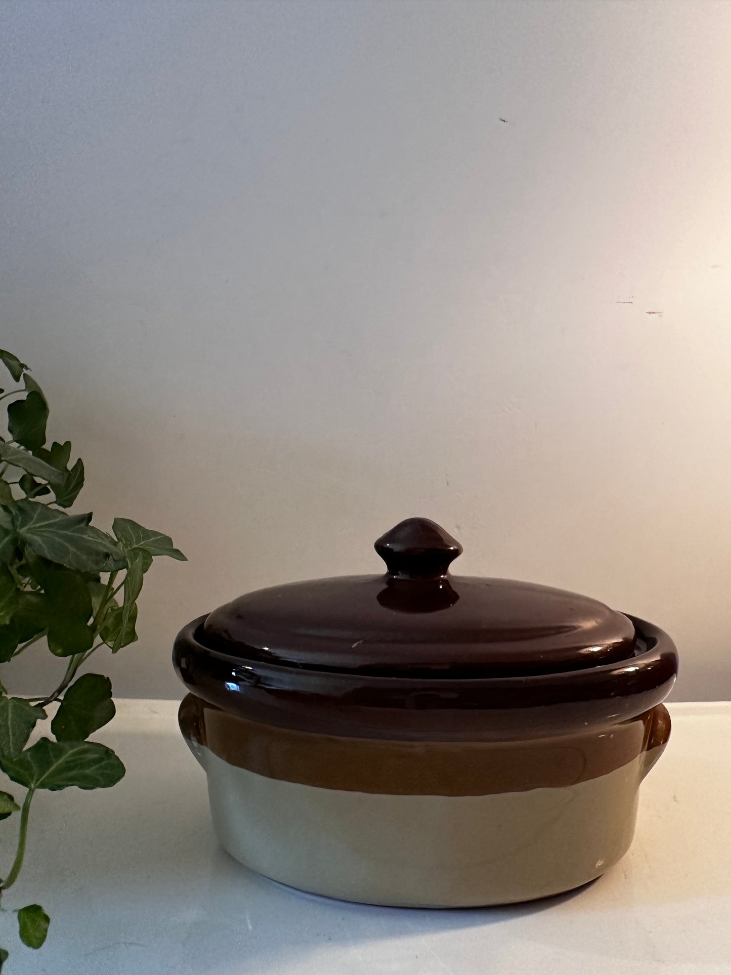 Jaren 70 Ovenschaal Heideland