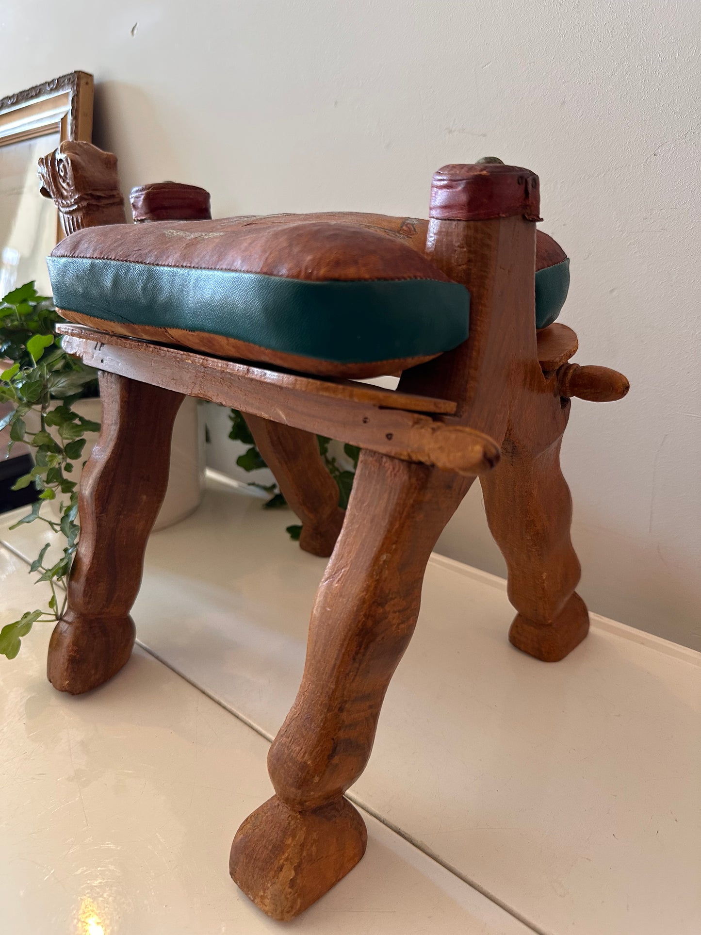 Kamelenkrukje plantentafeltje