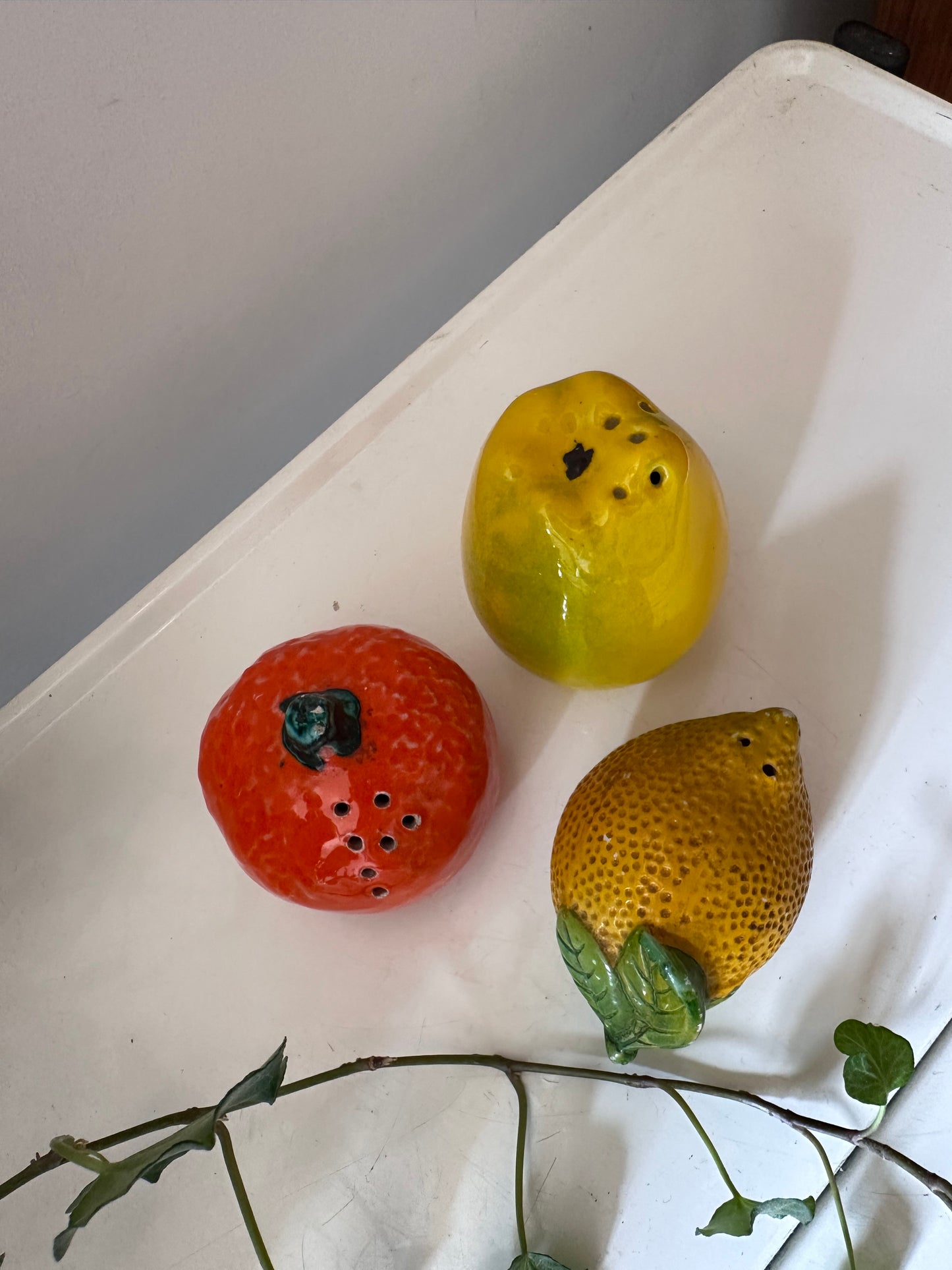 Fruit peper en zout potjes