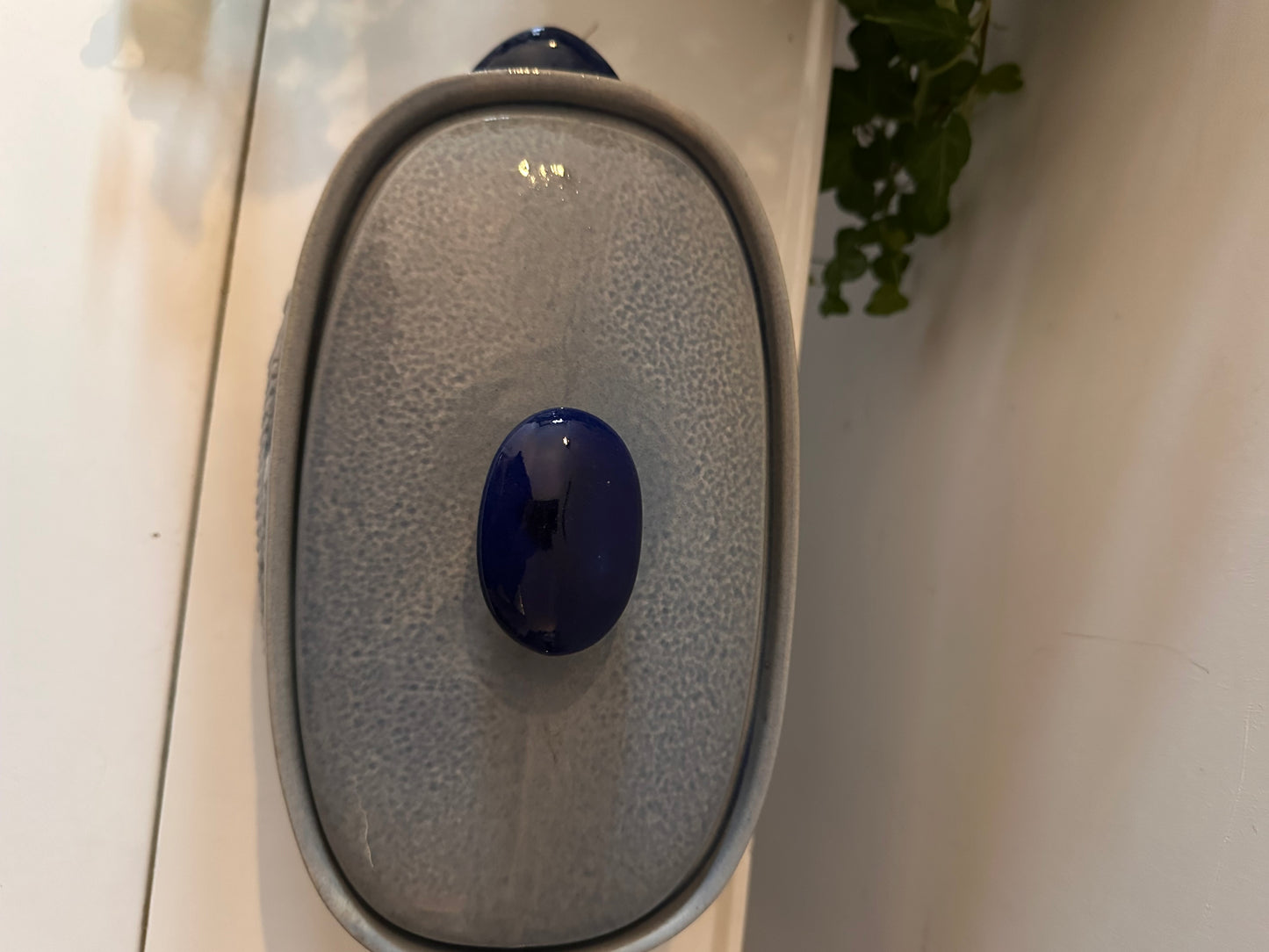 Blauw grijze keramieken visterrine