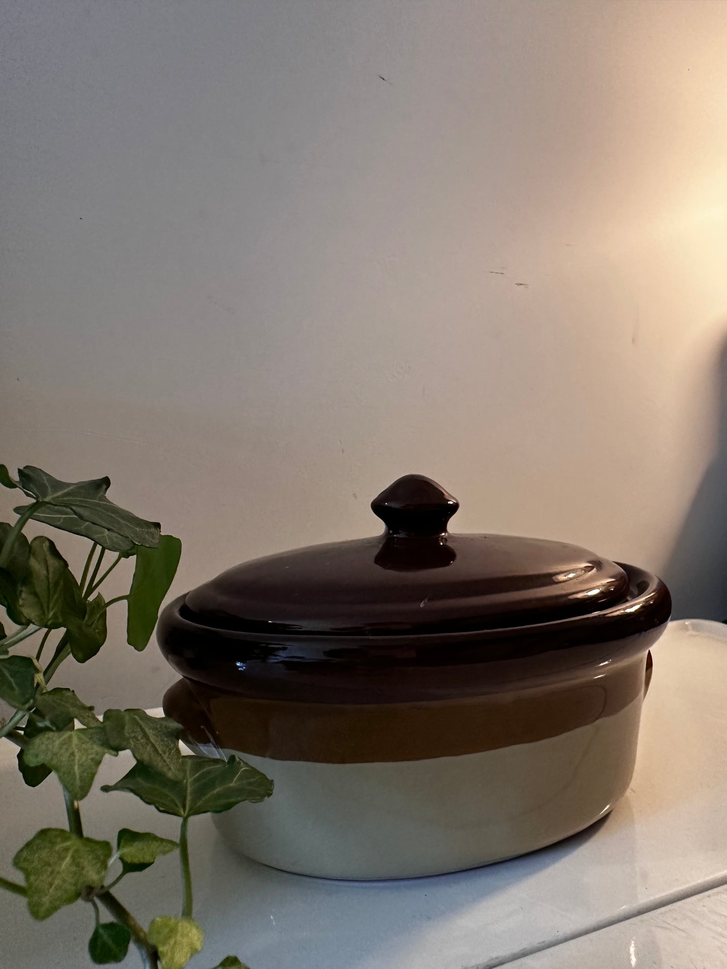 Jaren 70 Ovenschaal Heideland