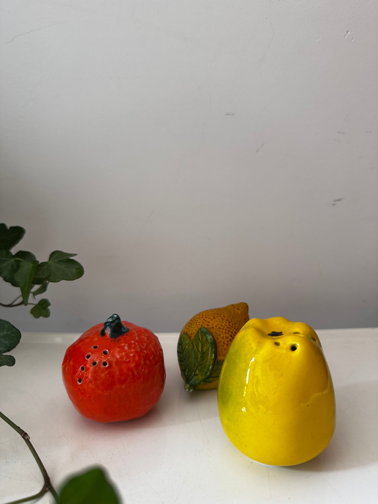 Fruit peper en zout potjes