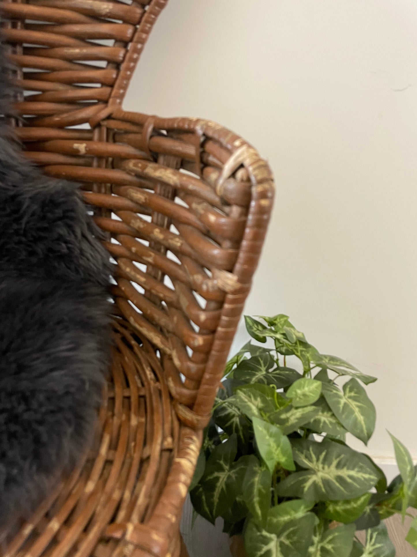 Vintage Rotan Fauteuil