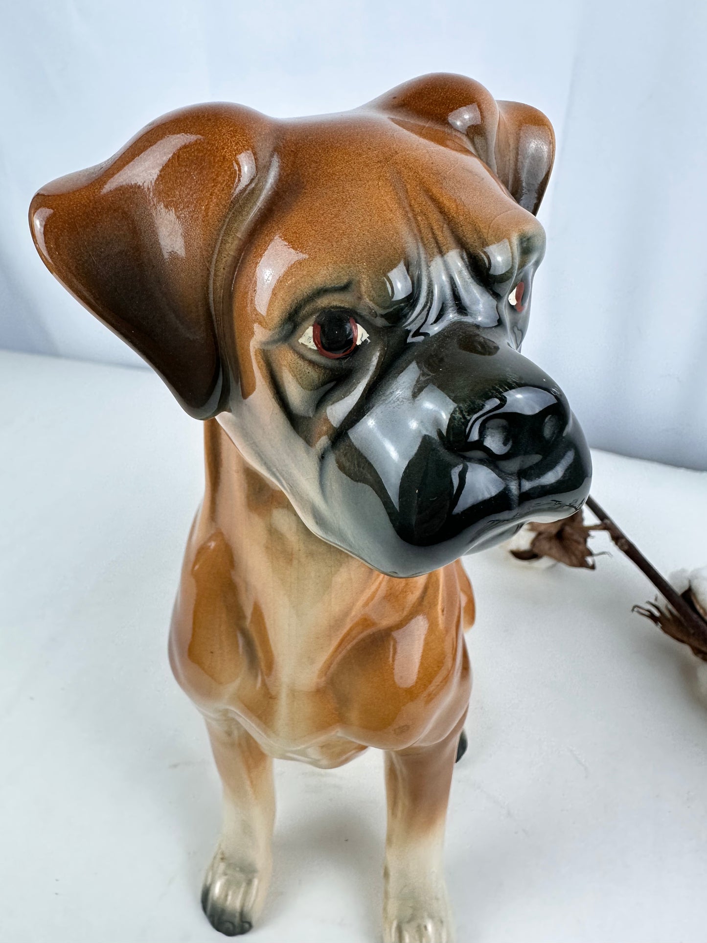 Beeld vintage van Boxer