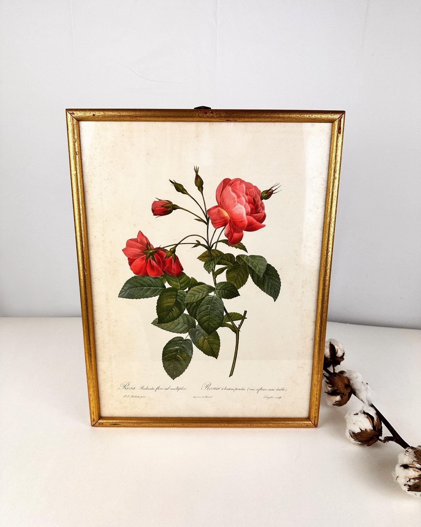 Vintage lijst met Rosier afdruk