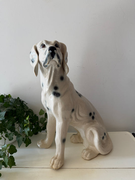 Italiaans beeld dalmatiër
