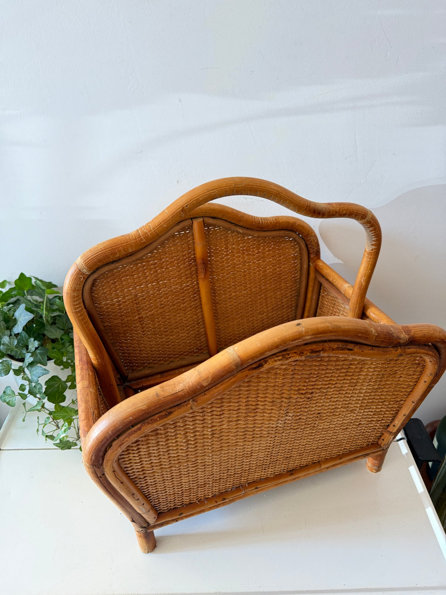 Rotan lectuurmand