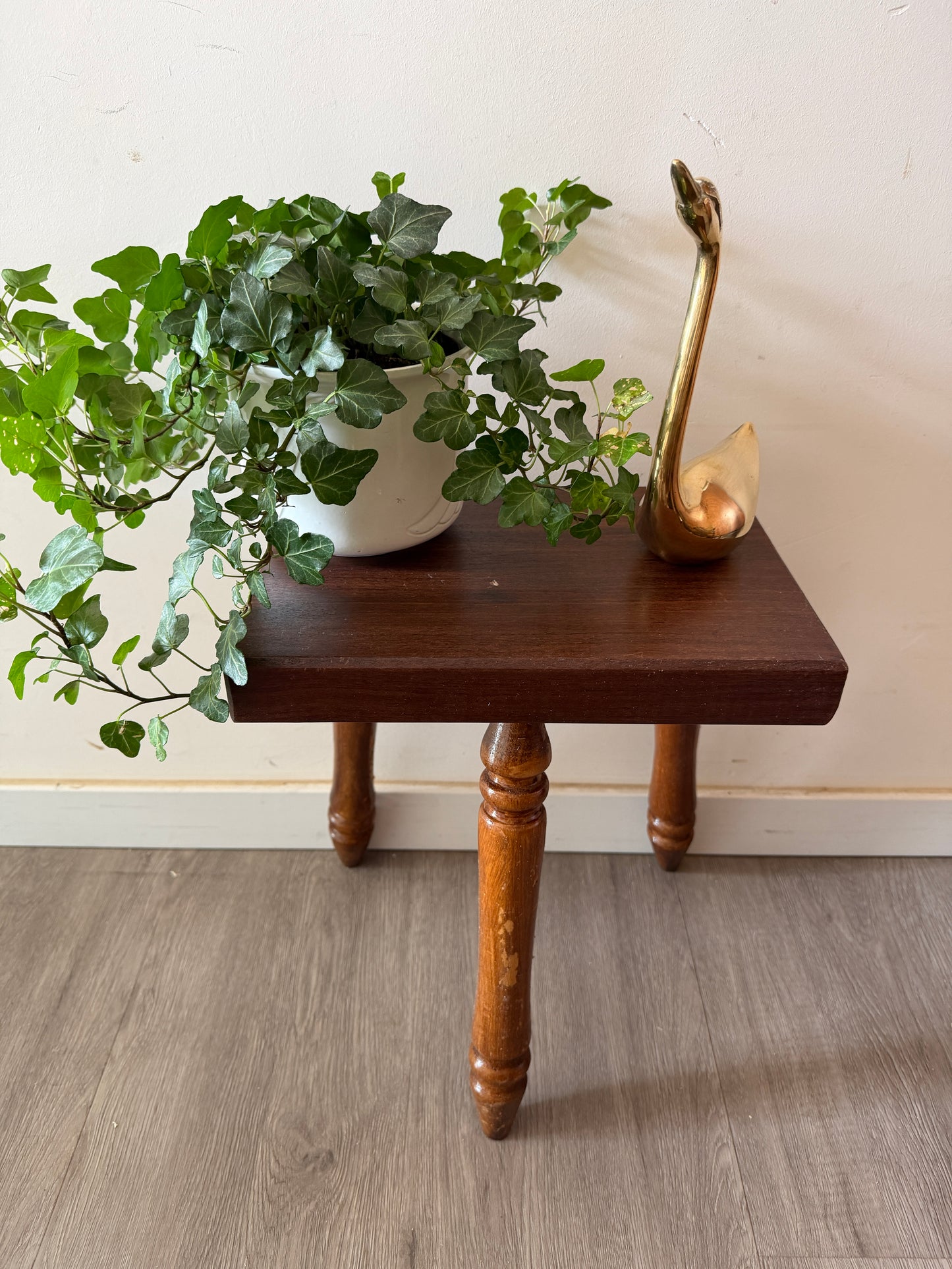 Superleuk vintage plantentafeltje