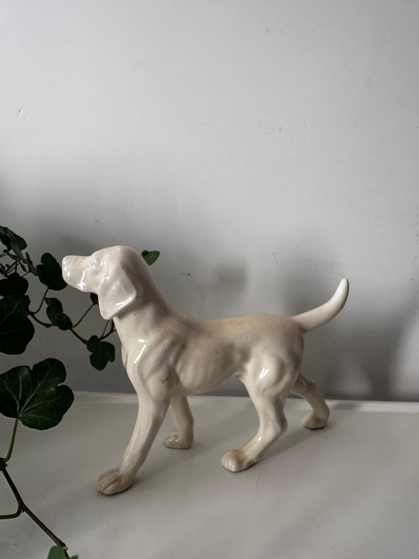 Porseleinen hond, setter vintage