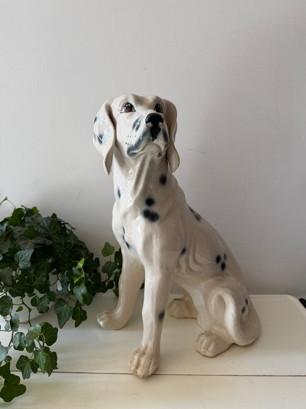 Italiaans beeld dalmatiër