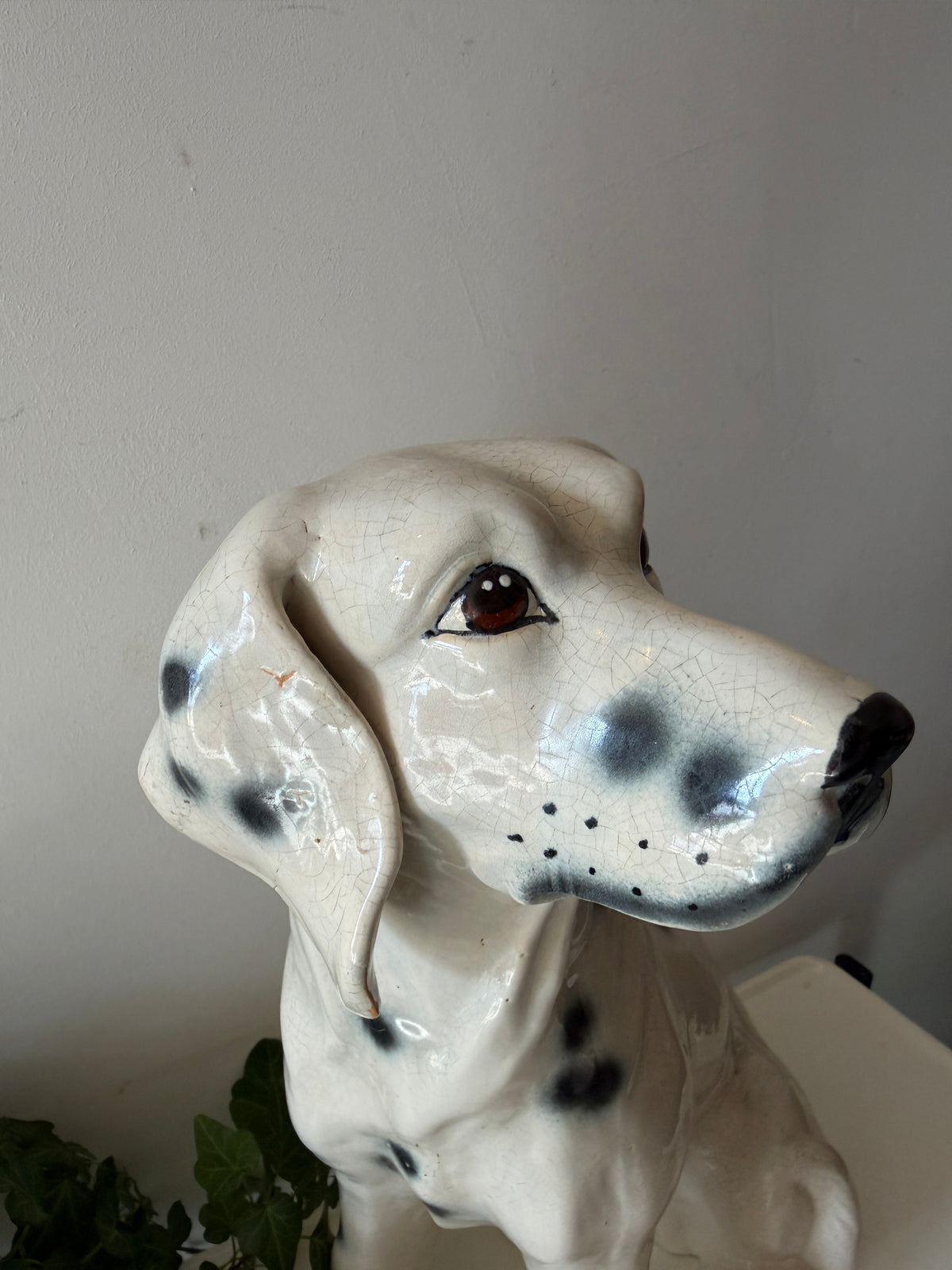 Italiaans beeld dalmatiër