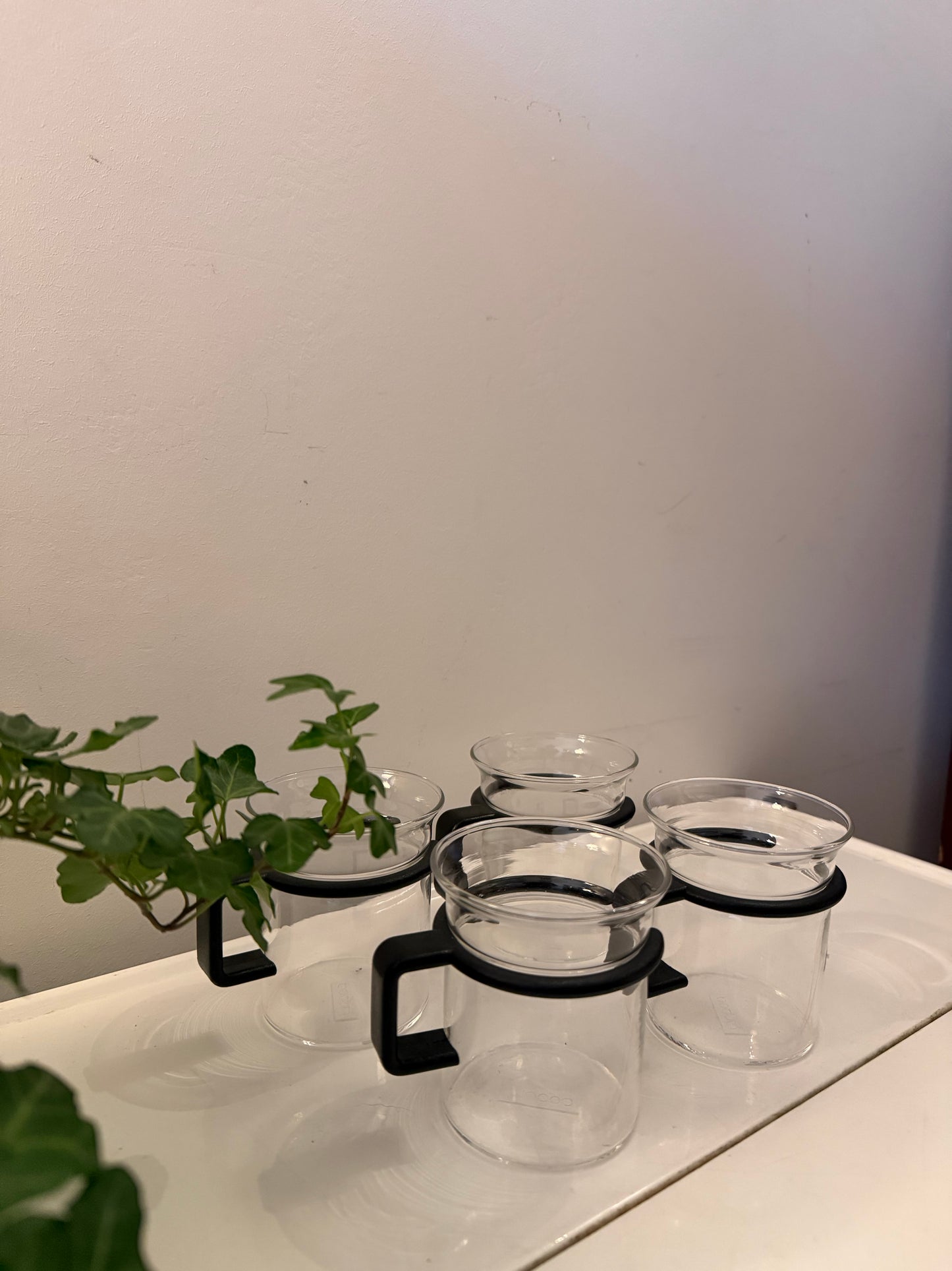 Set van 4 Bodum glazen