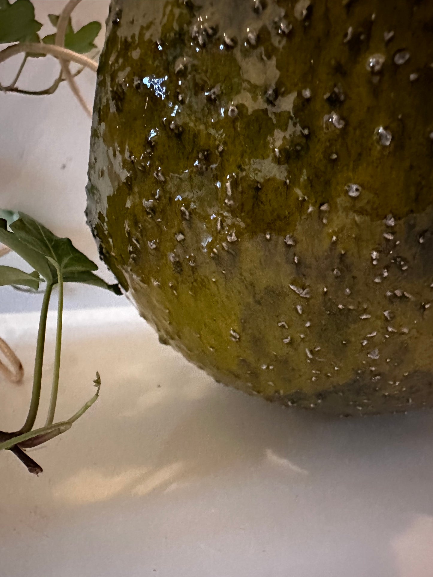 Retro jaren 70 plantenhanger