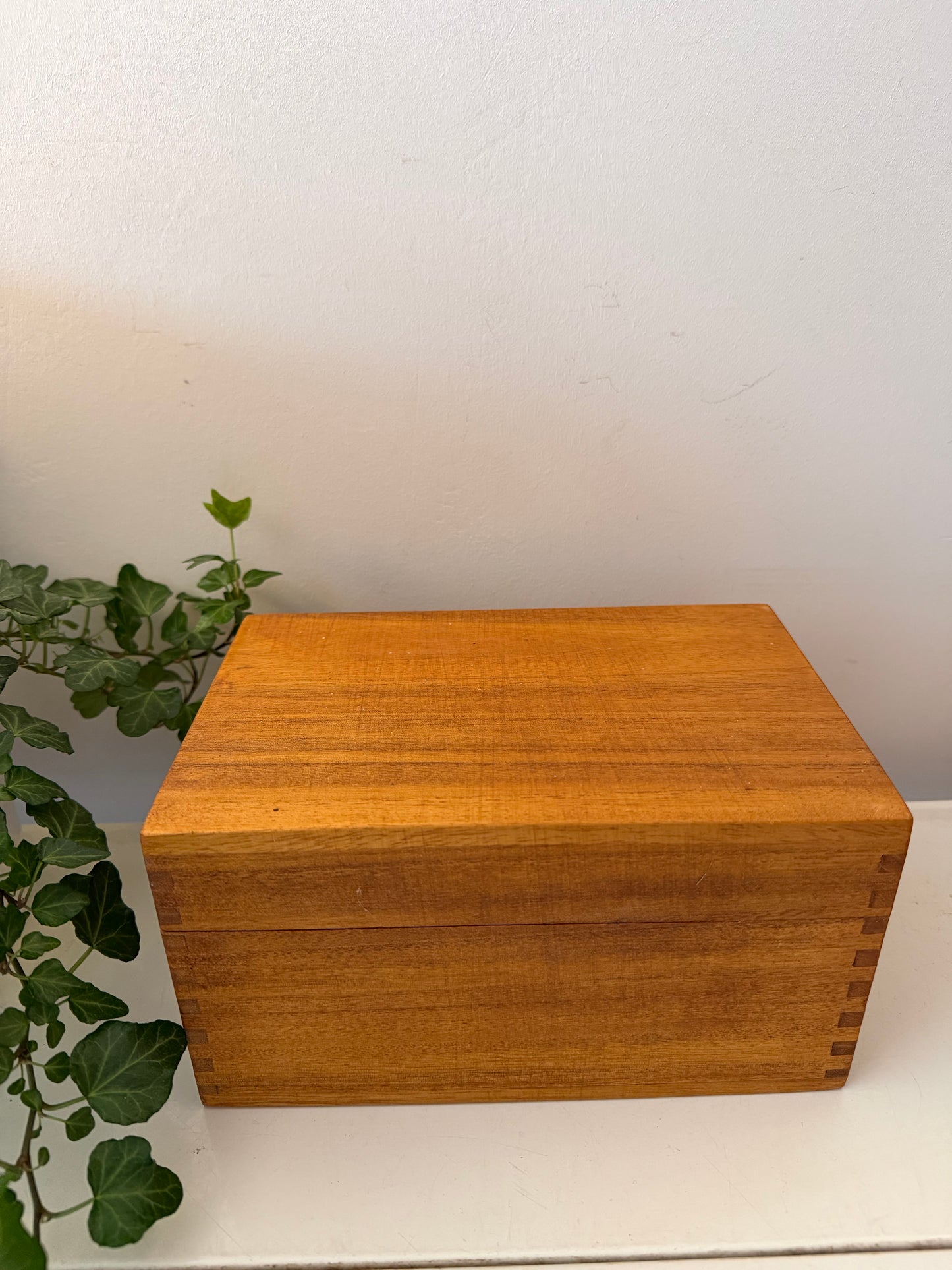 Houten bewaardoos