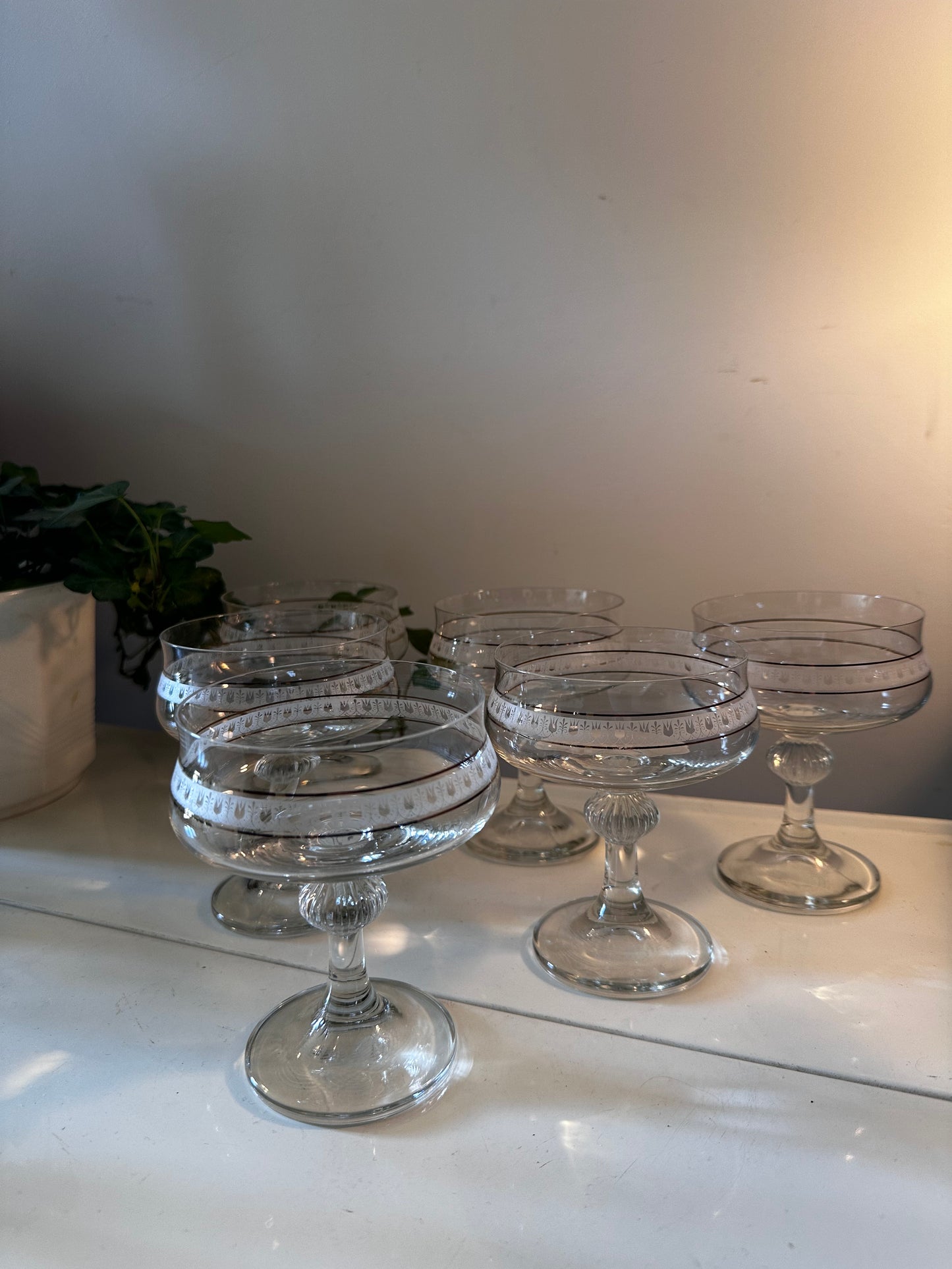 Set van 6 vintage coupe champagne glazen