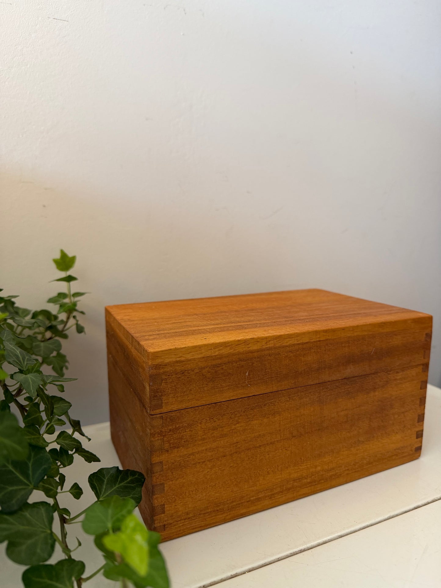 Houten bewaardoos