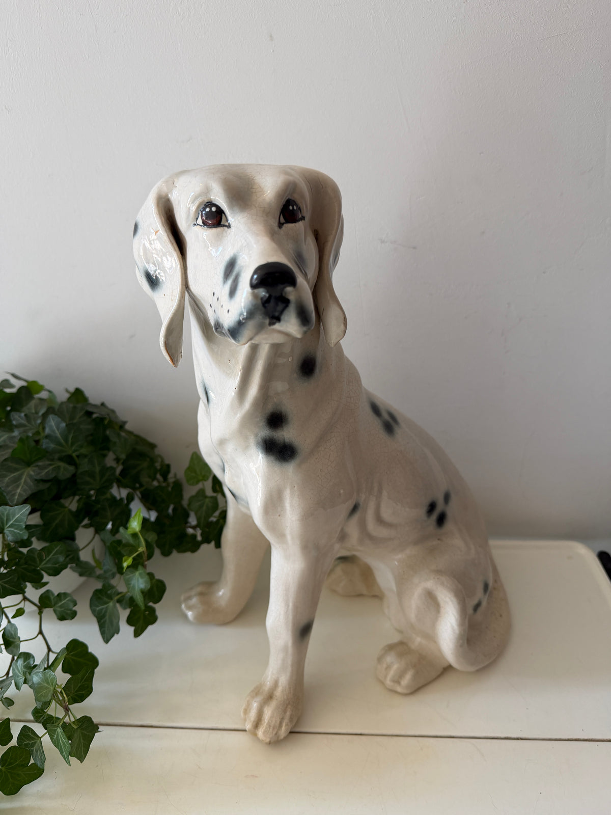Italiaans beeld dalmatiër