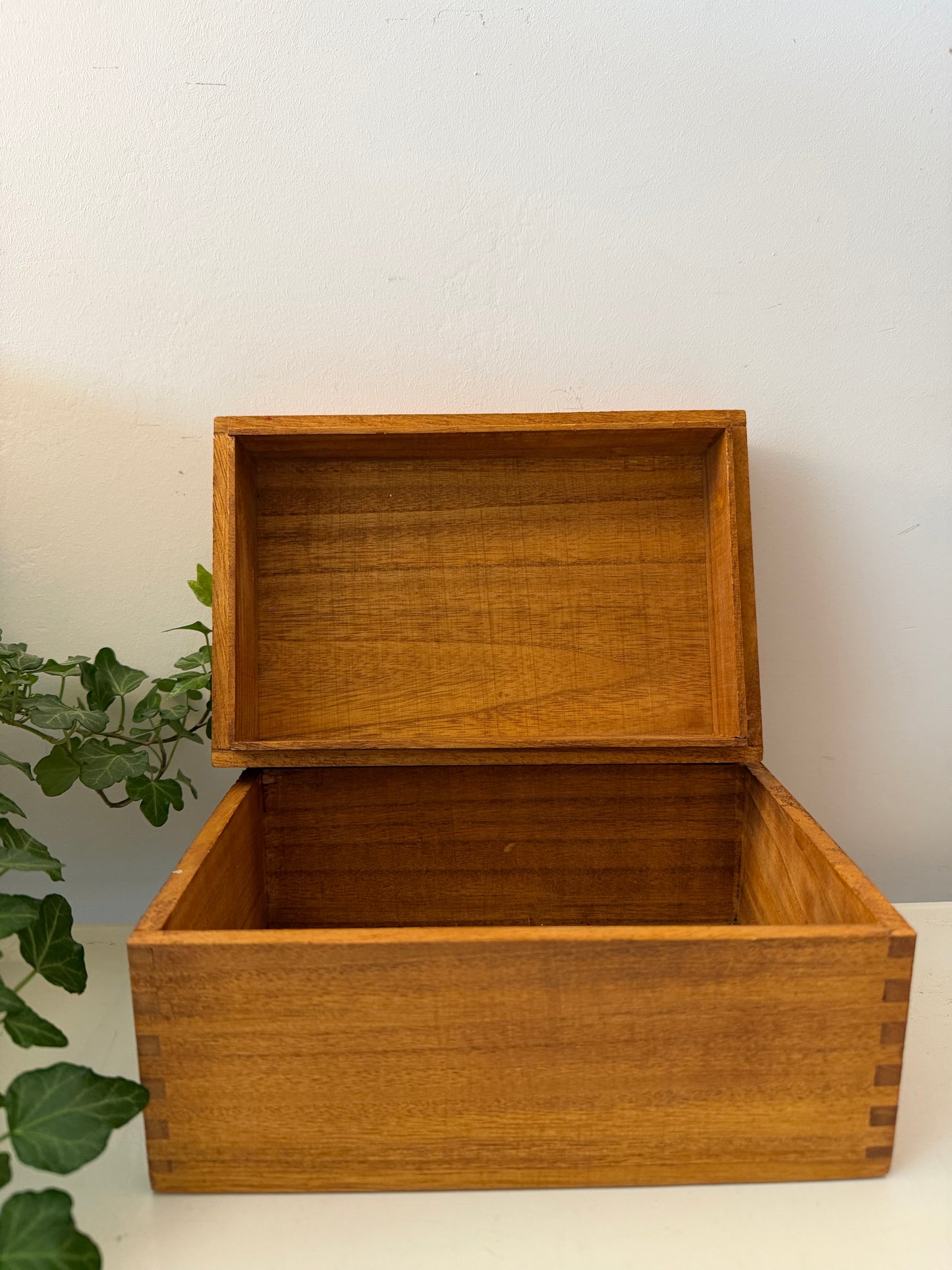 Houten bewaardoos