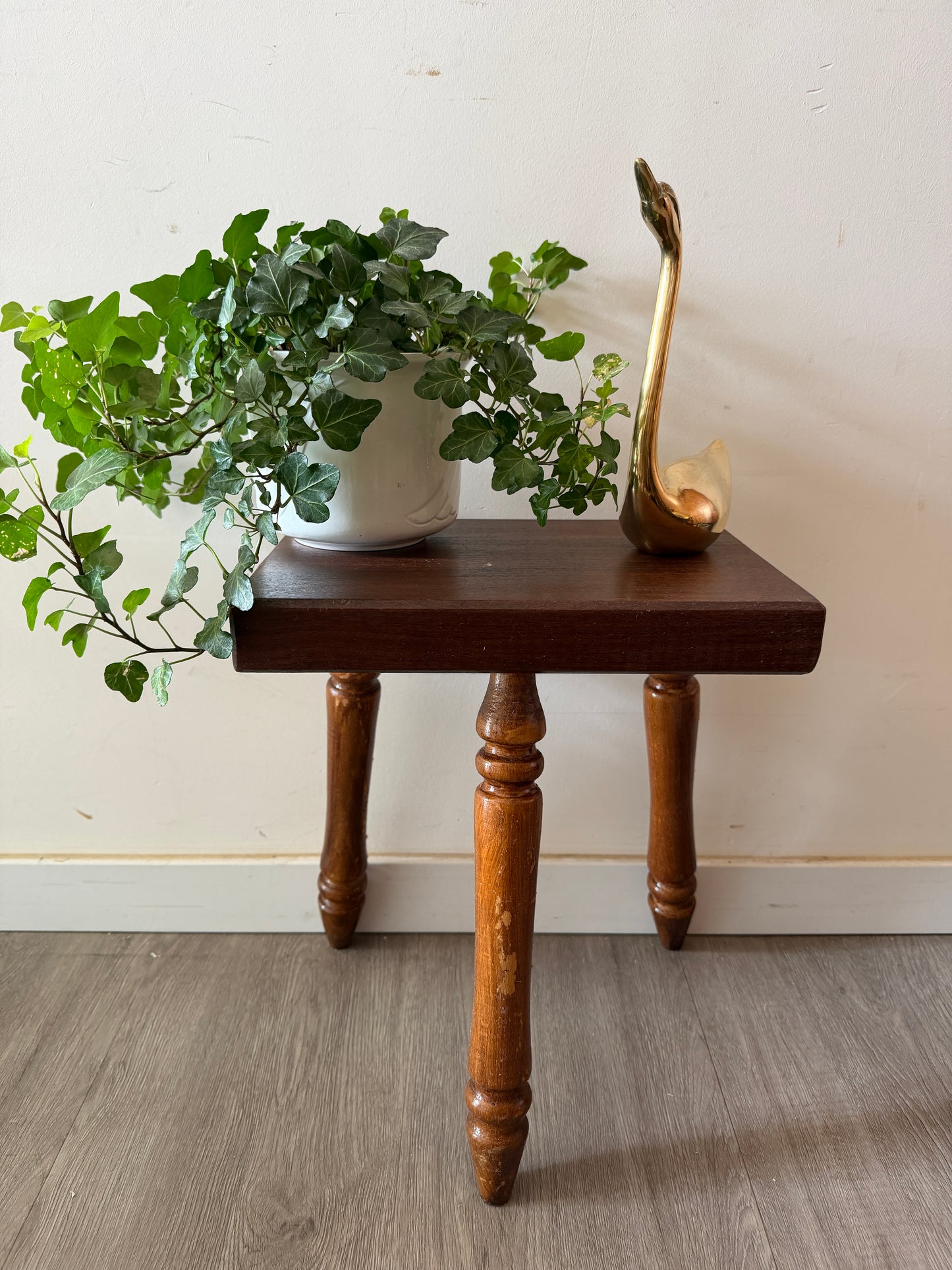 Superleuk vintage plantentafeltje