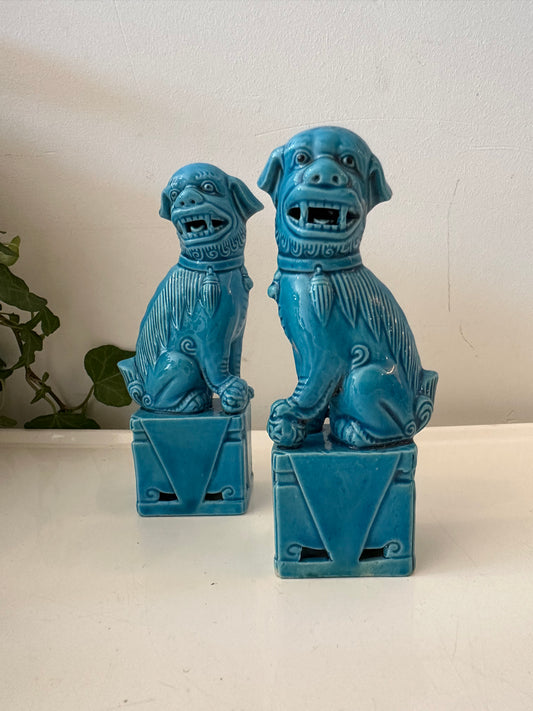 Set turquoise Foo Dogs tempelwachters
