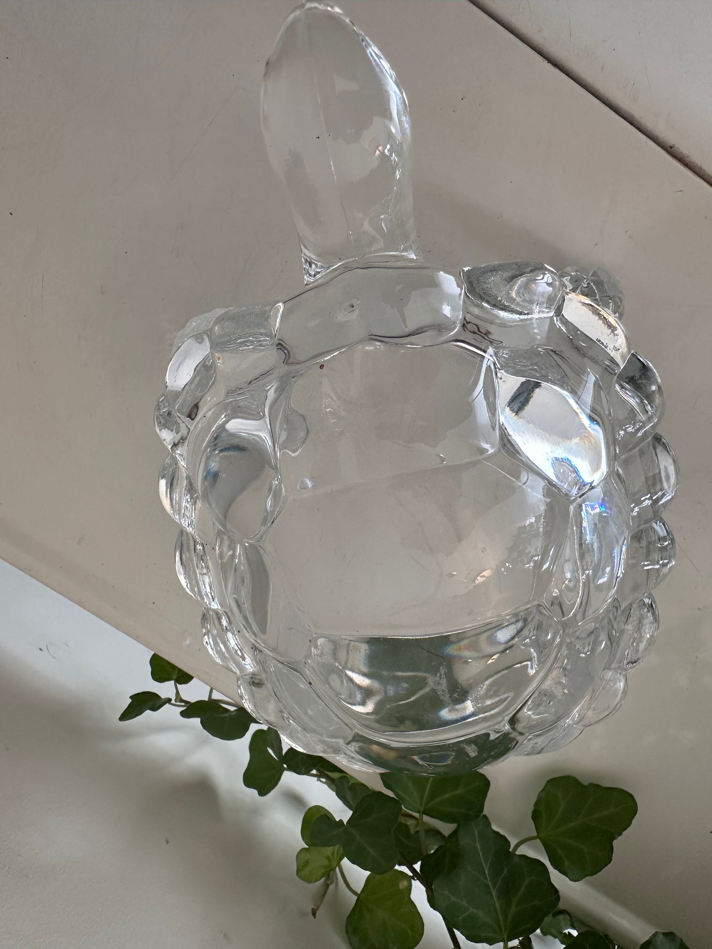 Glazen schildpad jaren 70