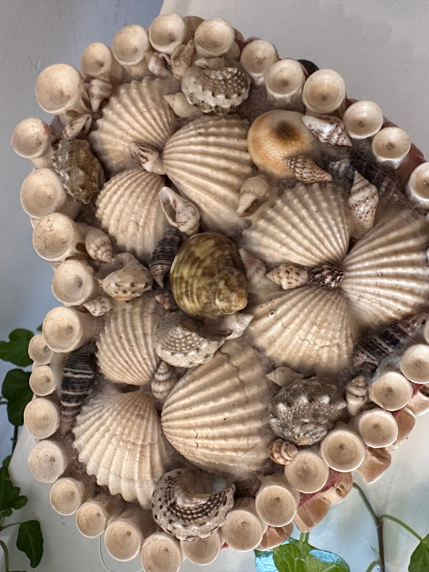 Sieradendoosje met schelpen hartvorm