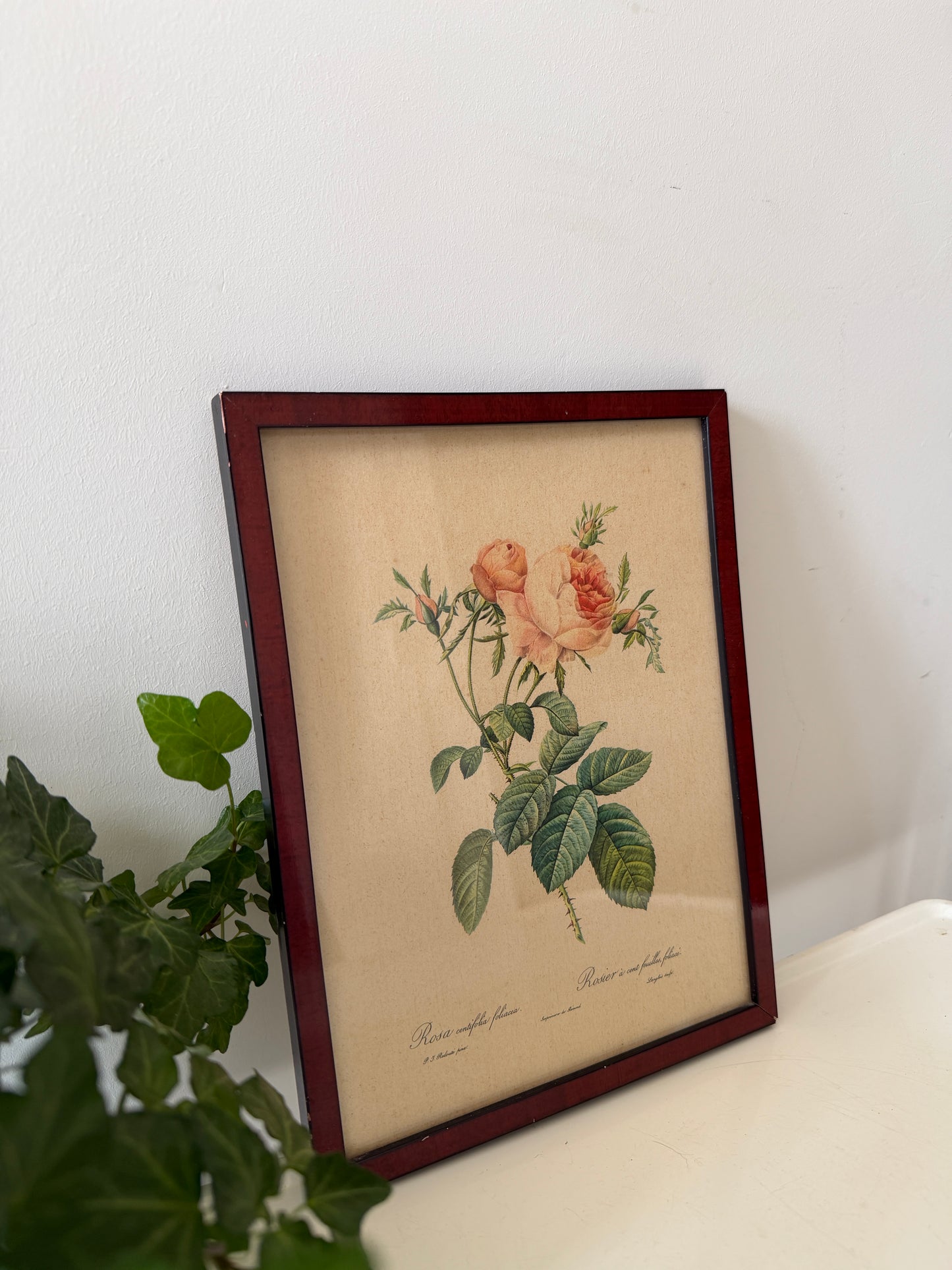 Vintage lijst met rozen prent