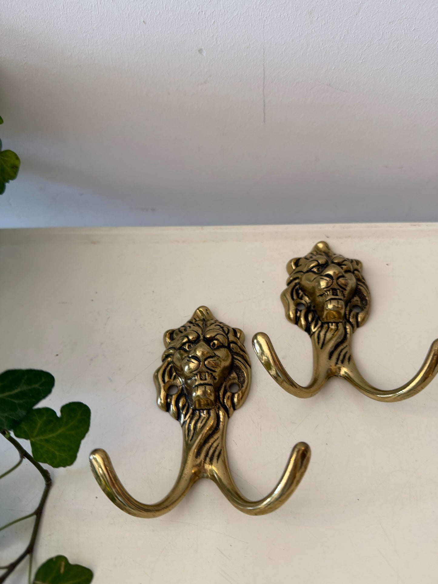 Set van twee messing haken