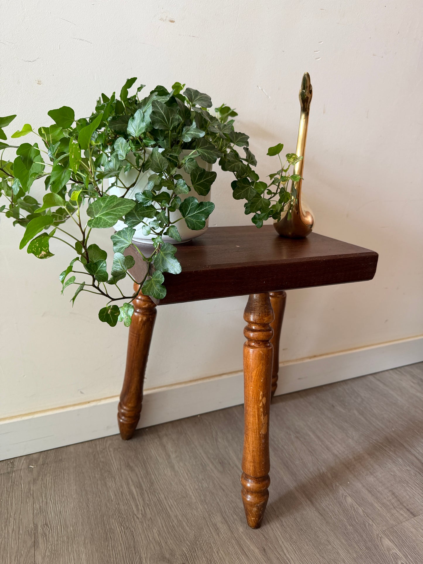 Superleuk vintage plantentafeltje