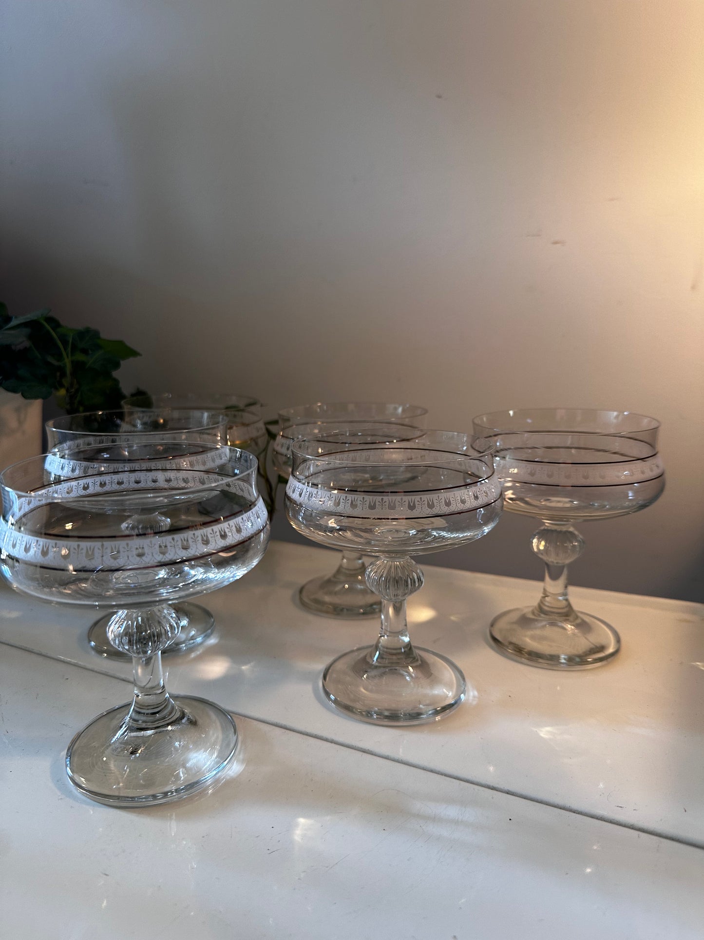 Set van 6 vintage coupe champagne glazen