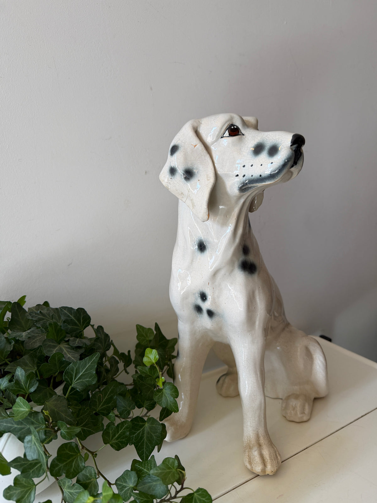 Italiaans beeld dalmatiër