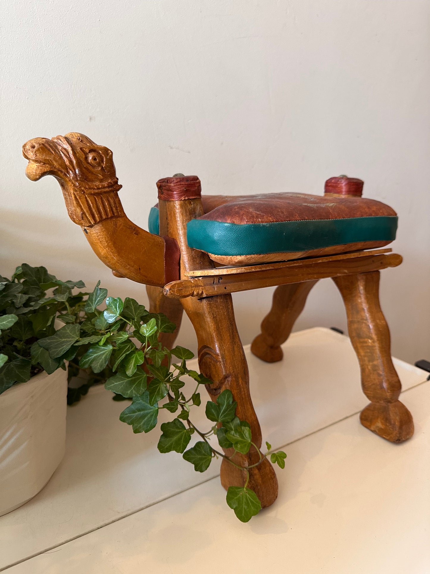 Kamelenkrukje plantentafeltje