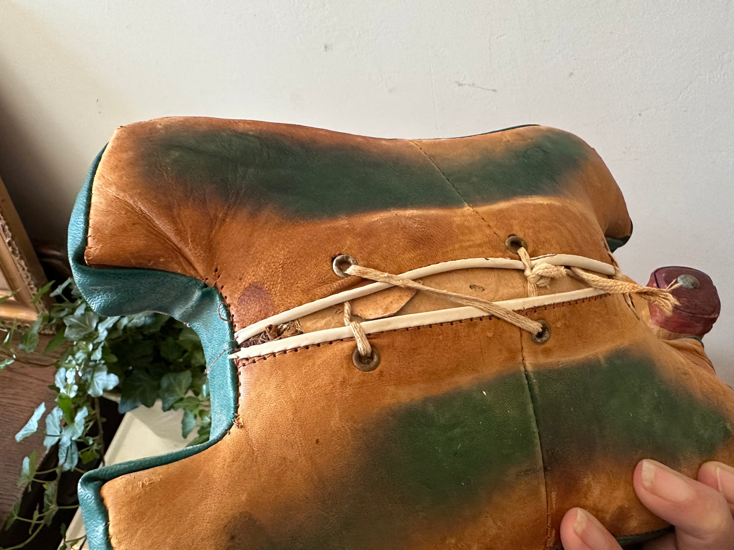 Kamelenkrukje plantentafeltje