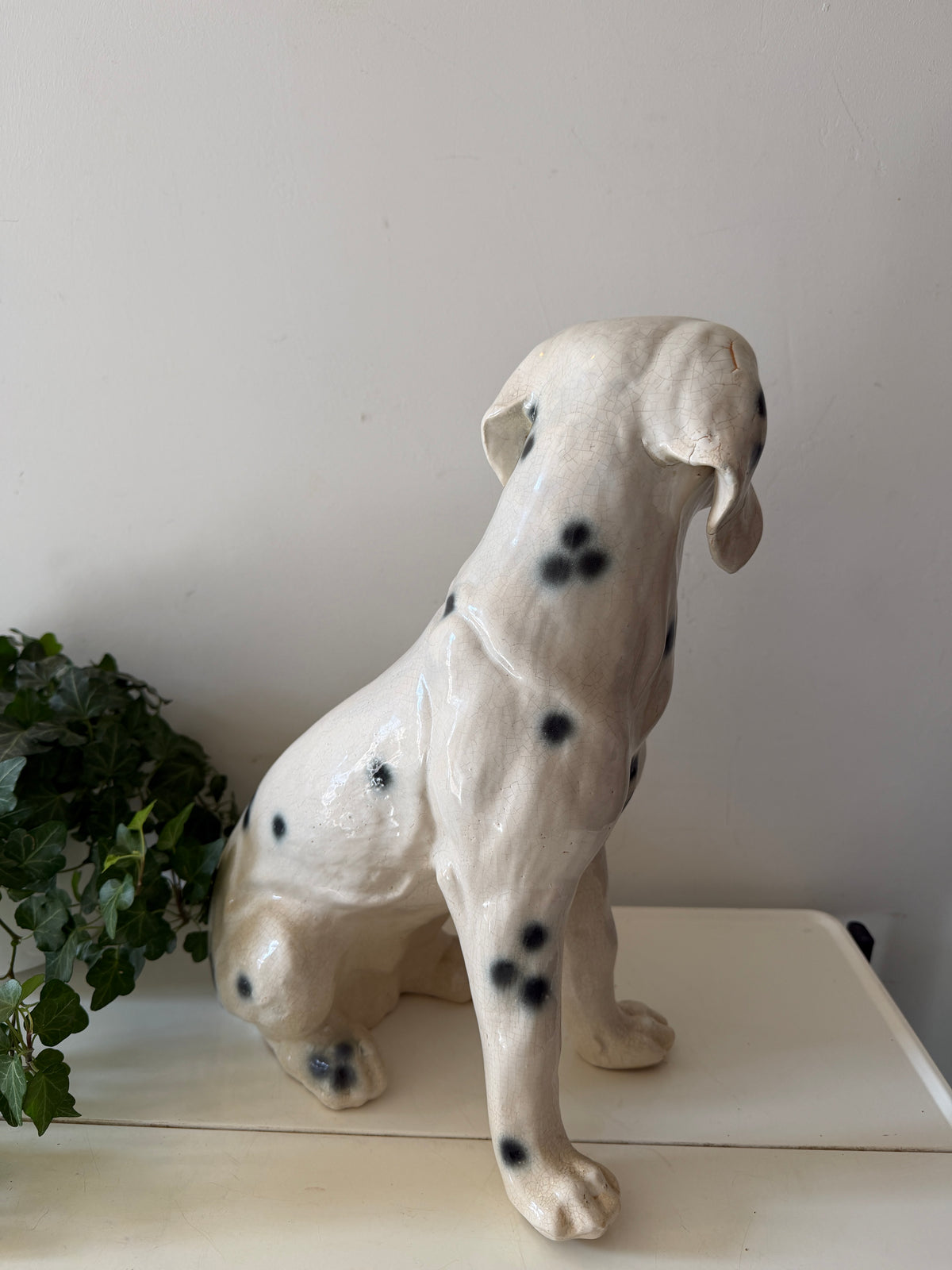 Italiaans beeld dalmatiër