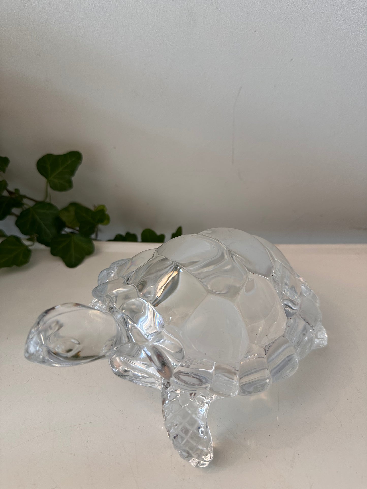 Glazen schildpad jaren 70